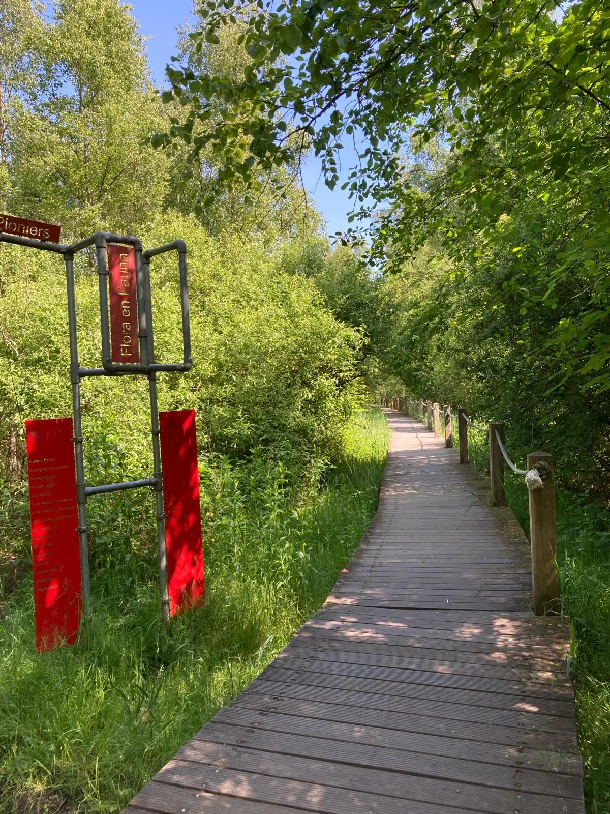 Wandeling afbeelding