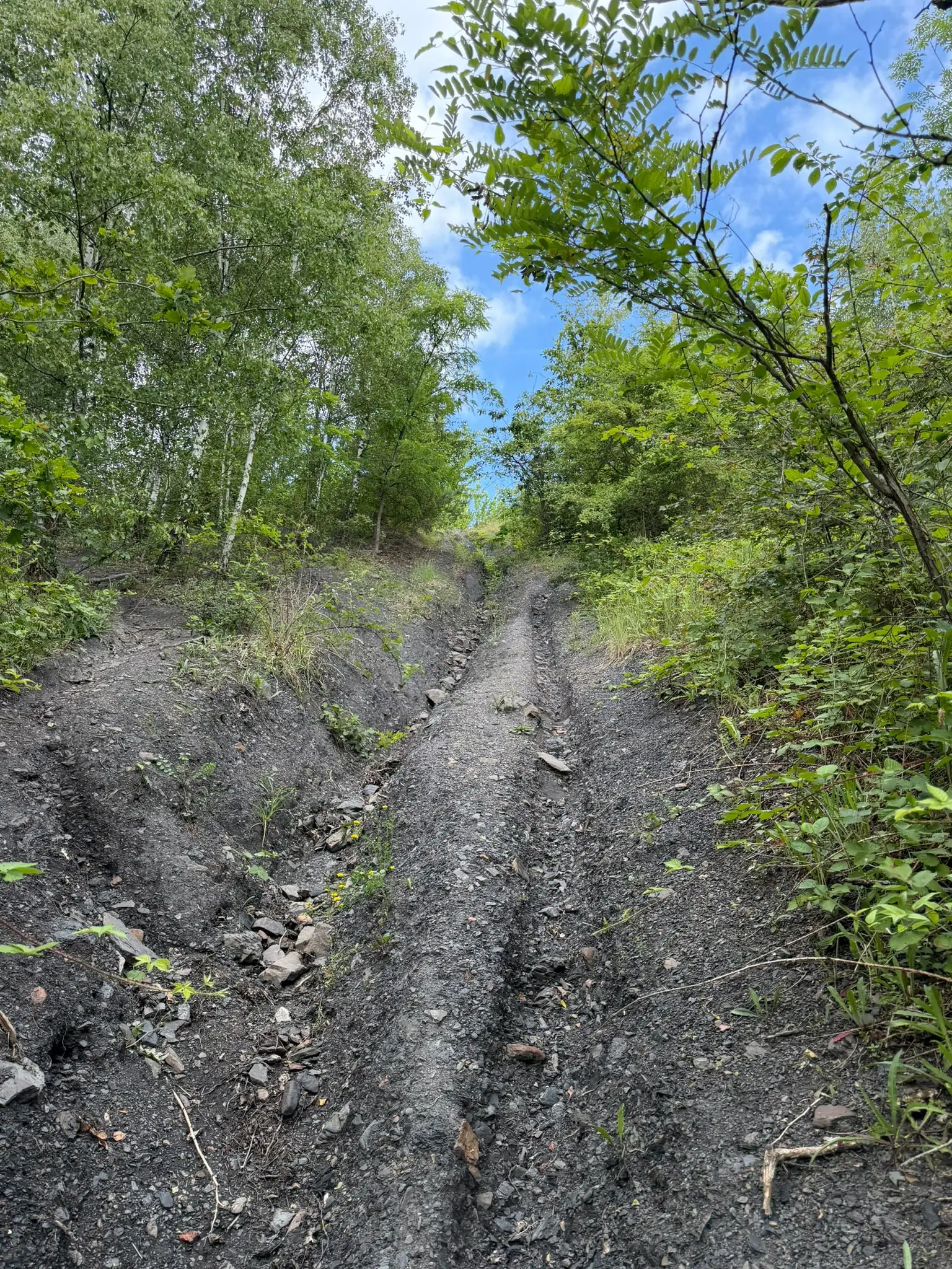 Wandeling afbeelding