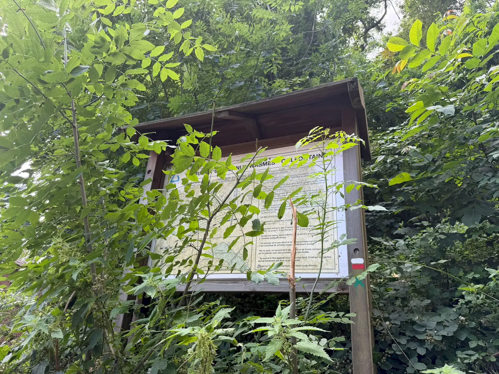 Wandeling afbeelding