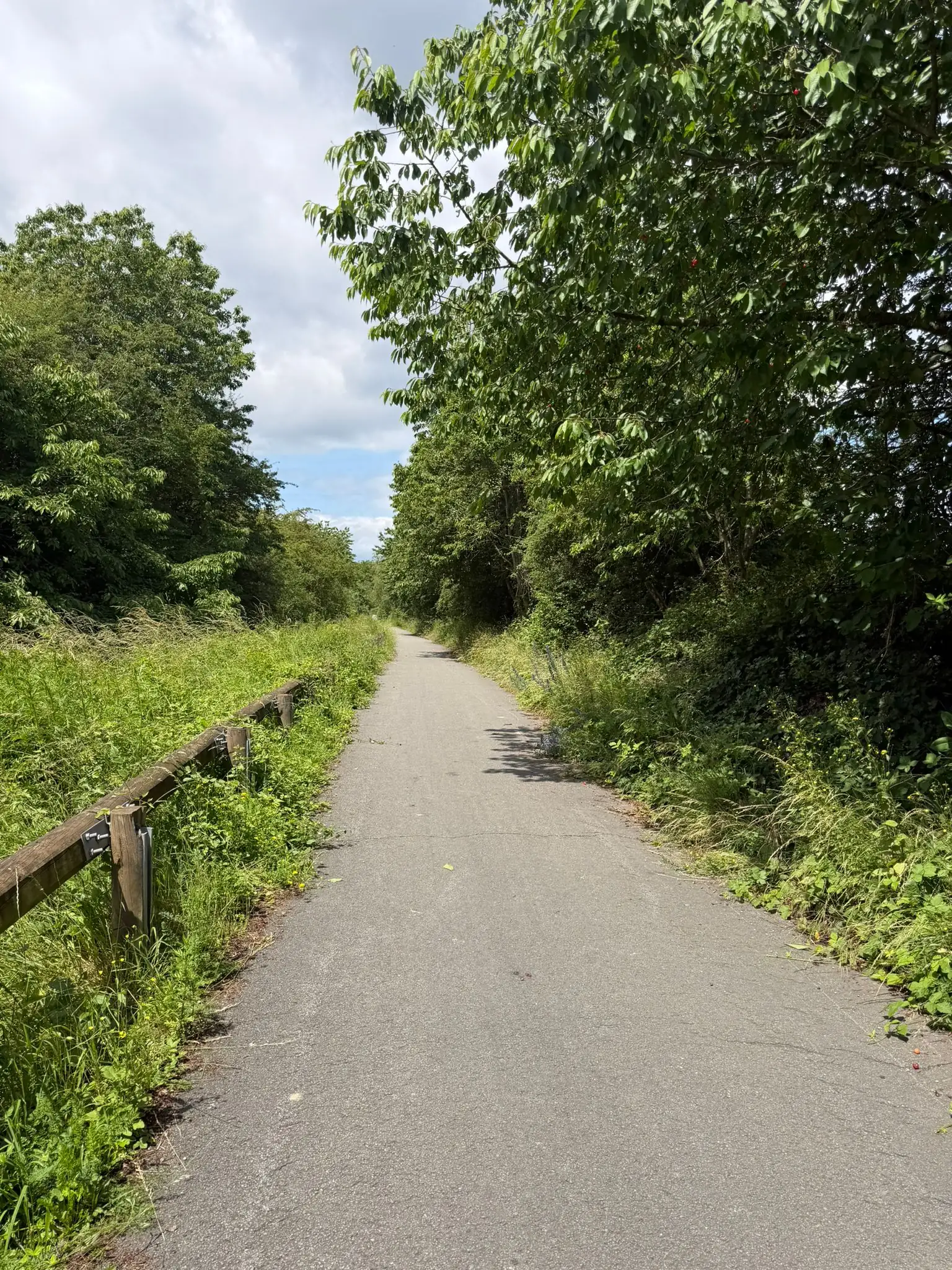 Wandeling afbeelding