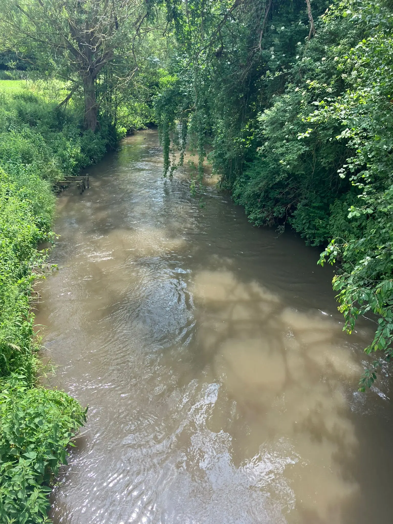 Wandeling afbeelding