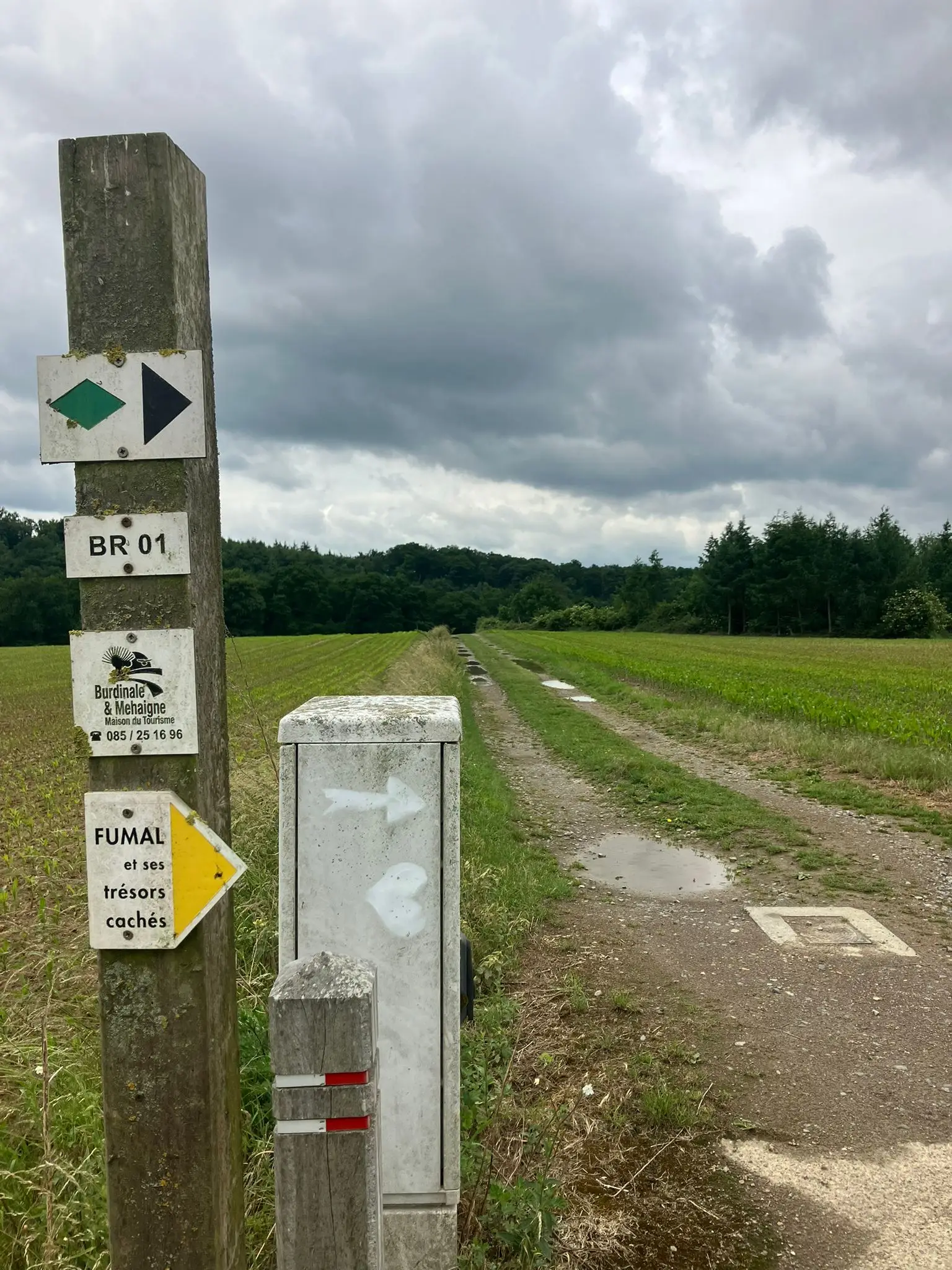 Wandeling afbeelding