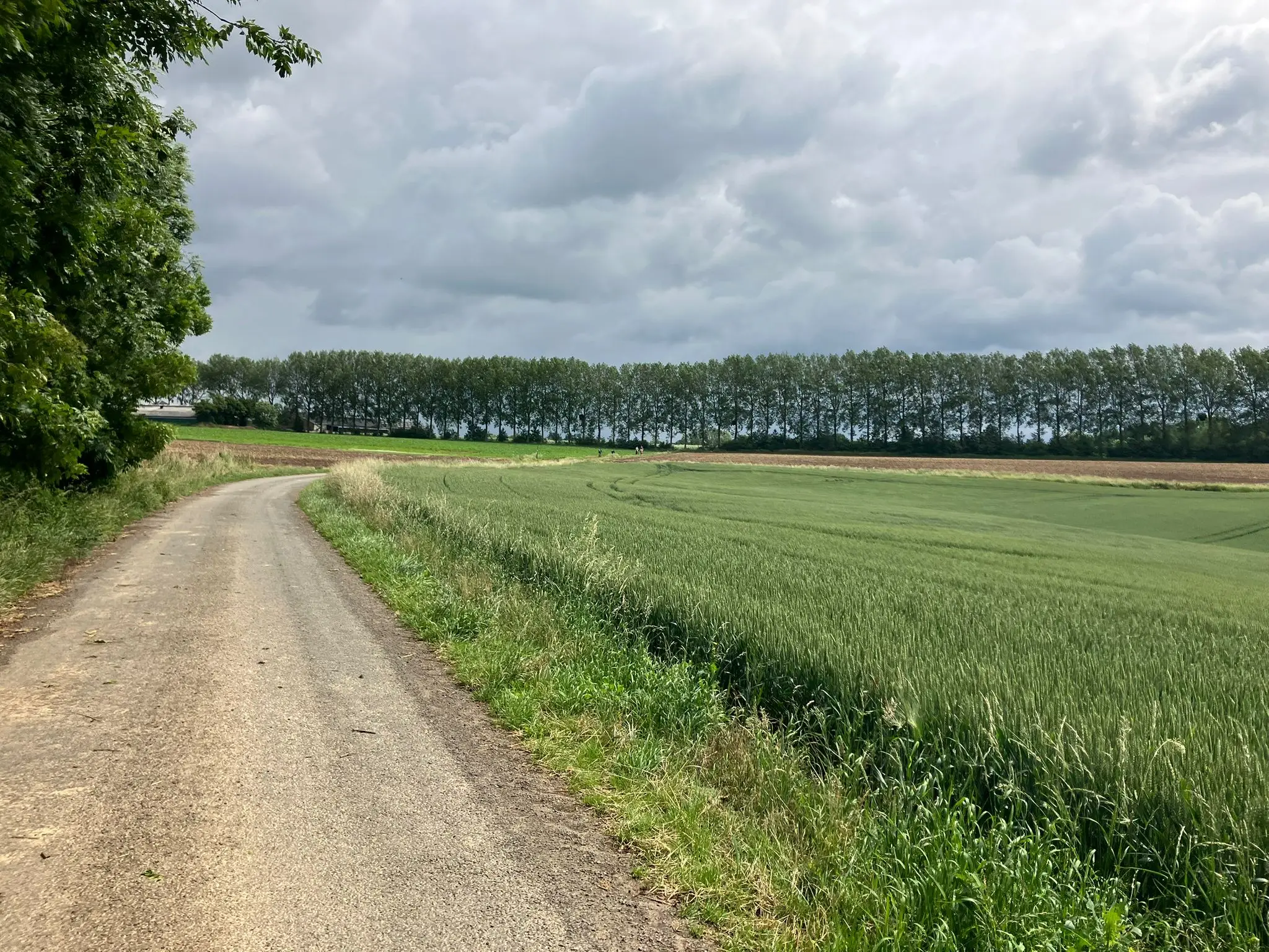 Wandeling afbeelding