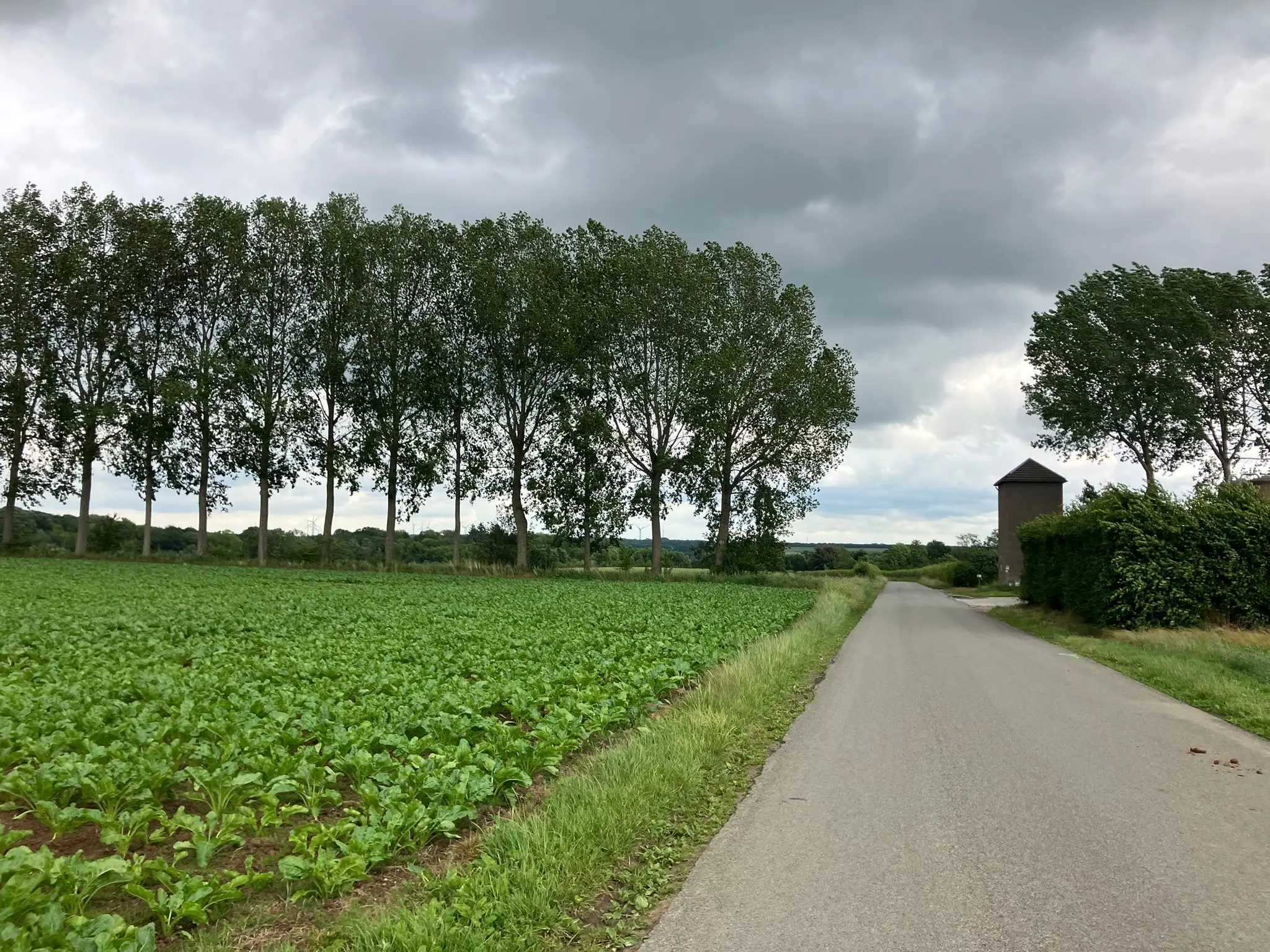 Wandeling afbeelding