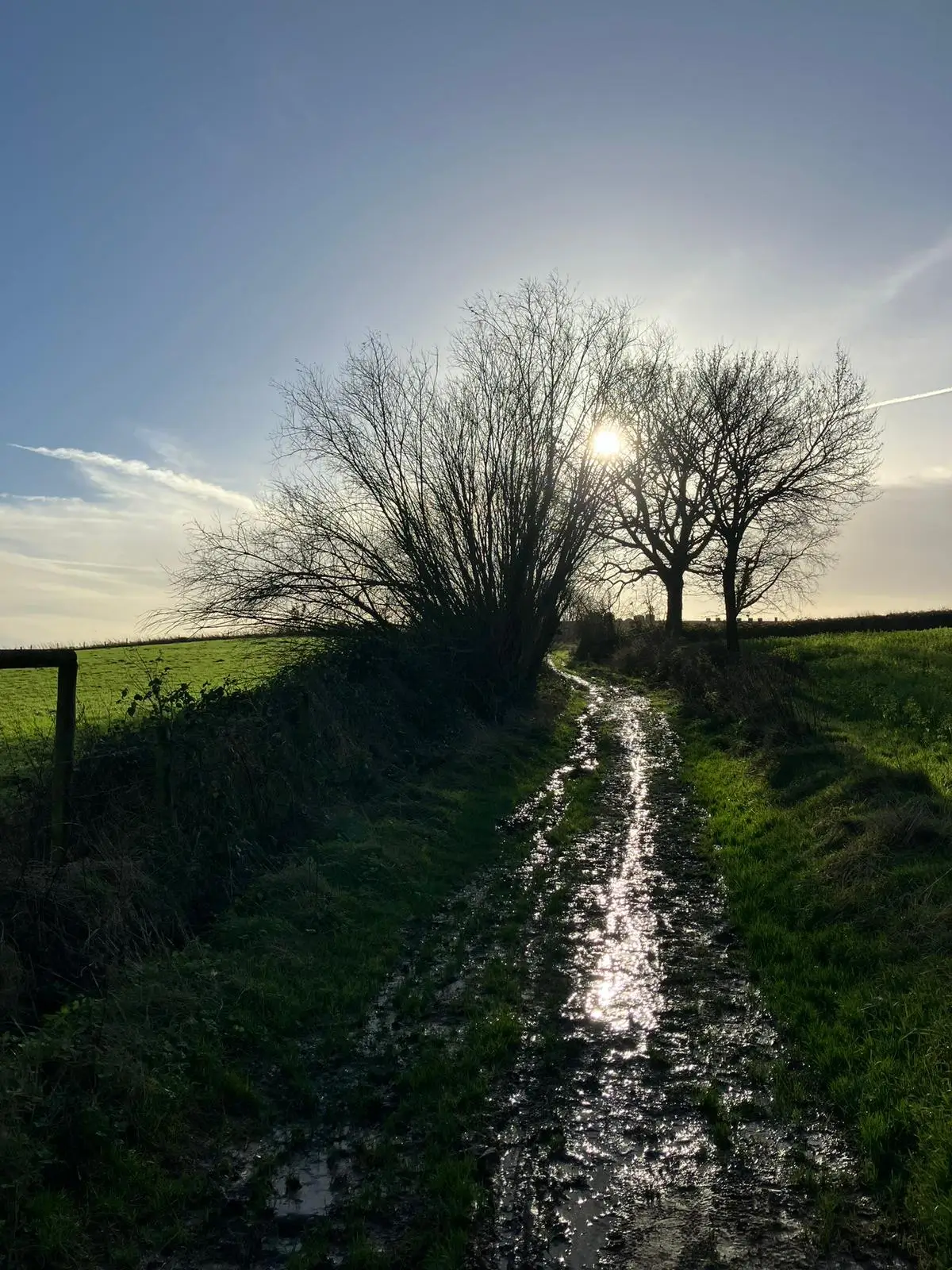 Foto 4 van de wandeling te Brakel