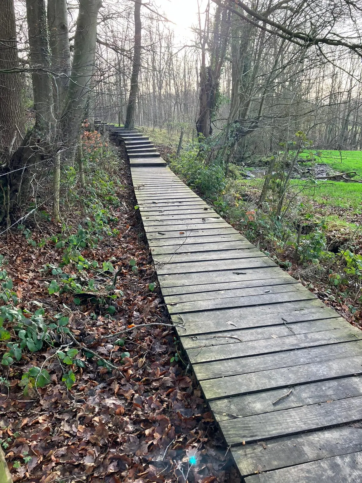Foto 5 van de wandeling te Brakel
