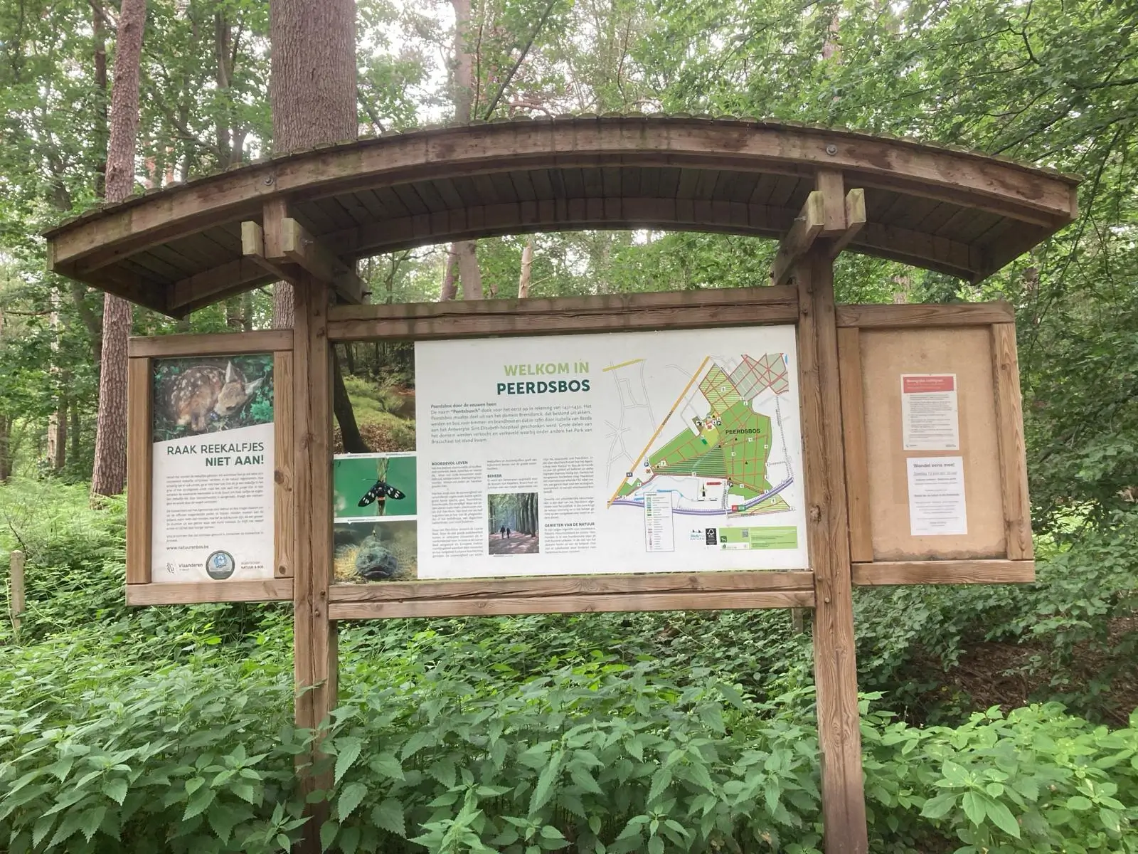 Wandeling afbeelding