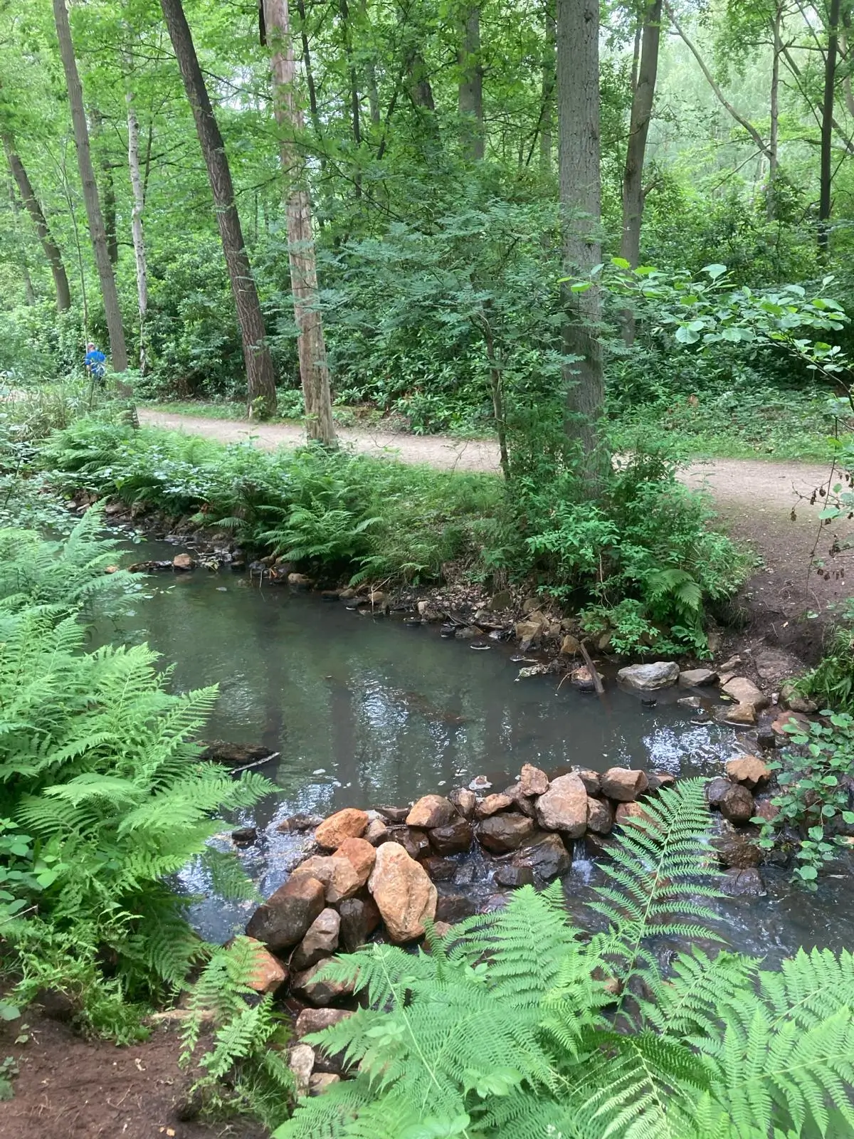 Wandeling afbeelding