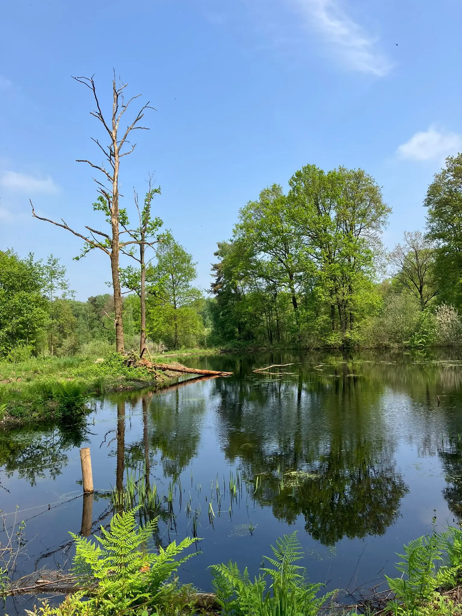 Wandeling afbeelding