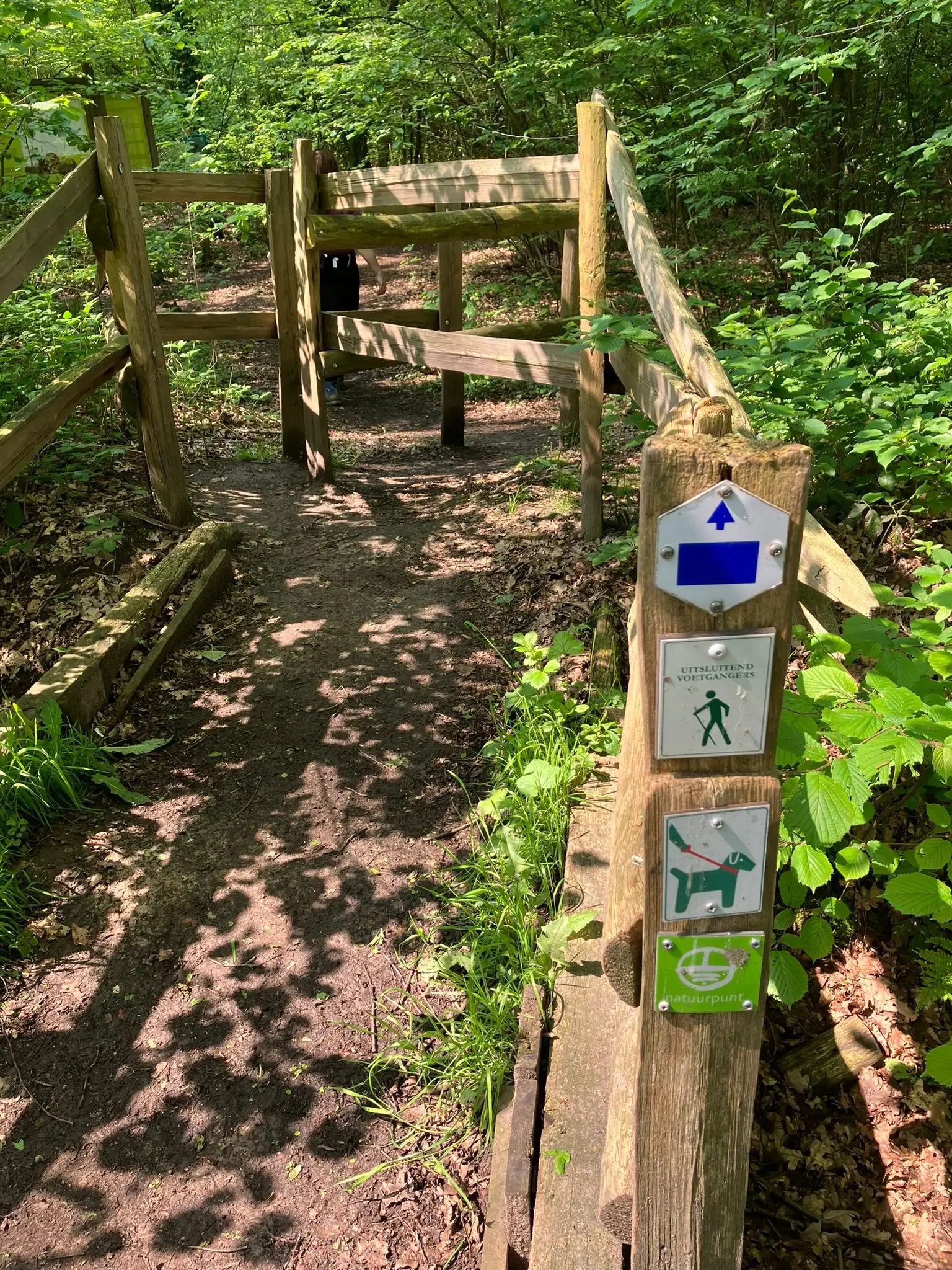 Wandeling afbeelding