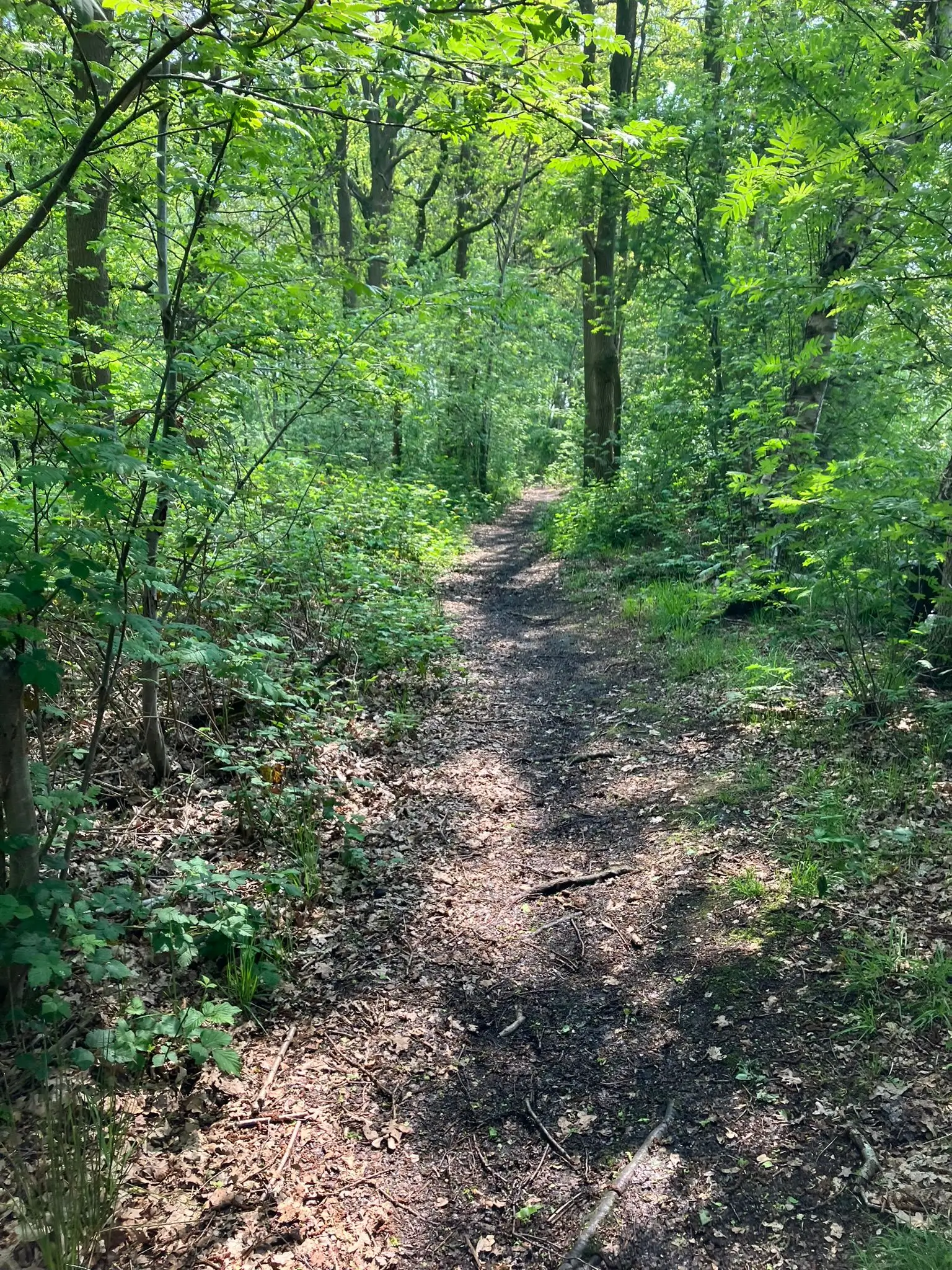 Wandeling afbeelding