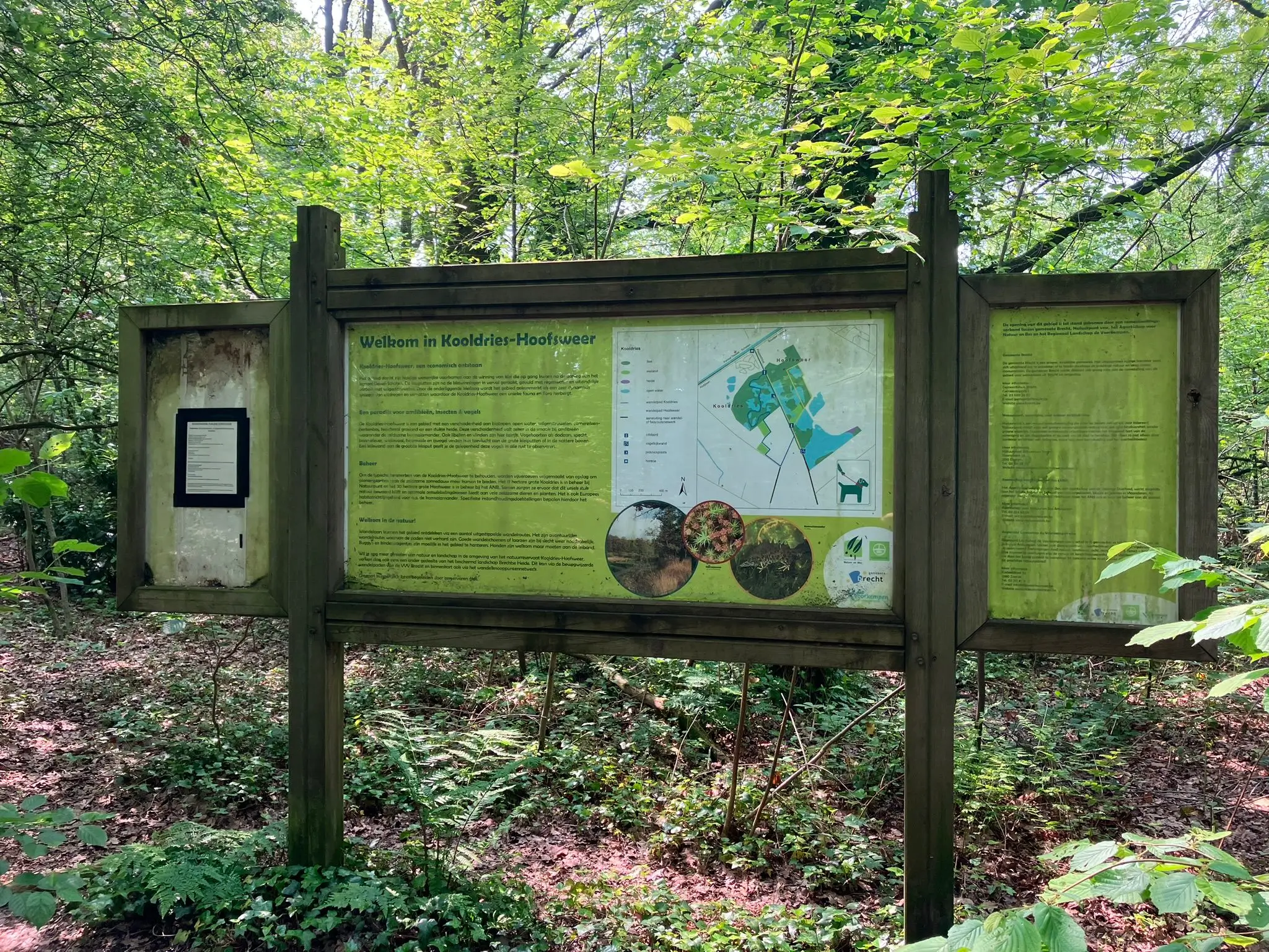 Wandeling afbeelding
