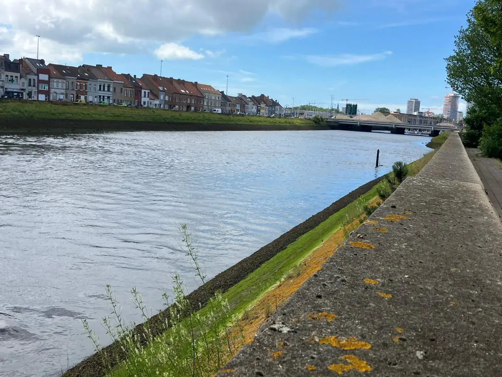 Wandeling afbeelding