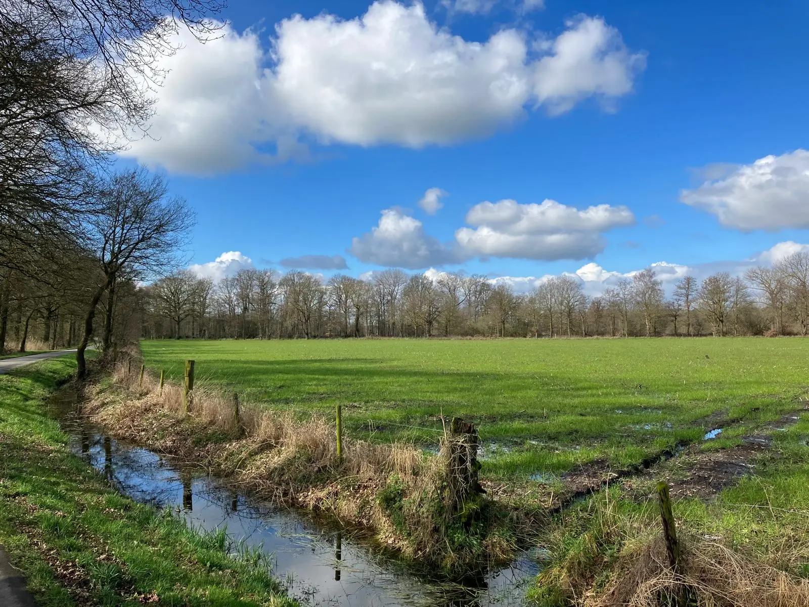 Wandeling afbeelding