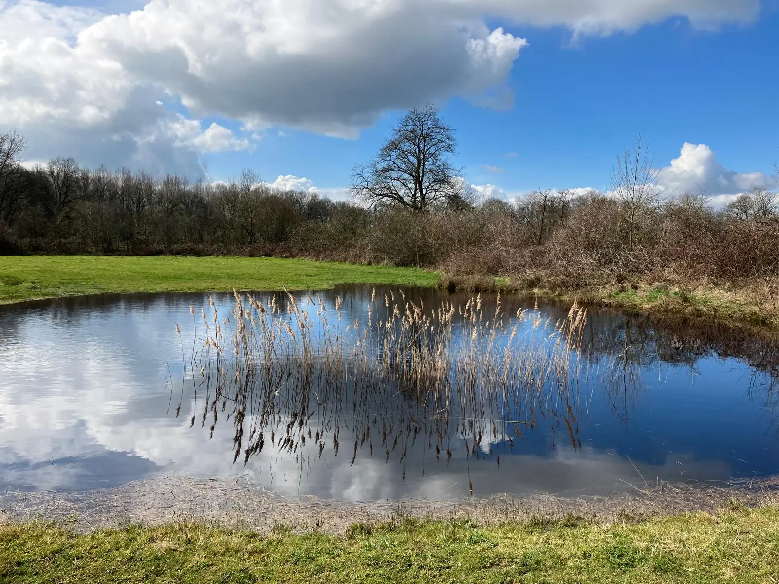 Wandeling afbeelding