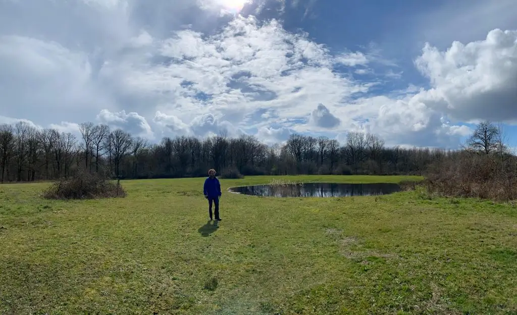 Wandeling afbeelding