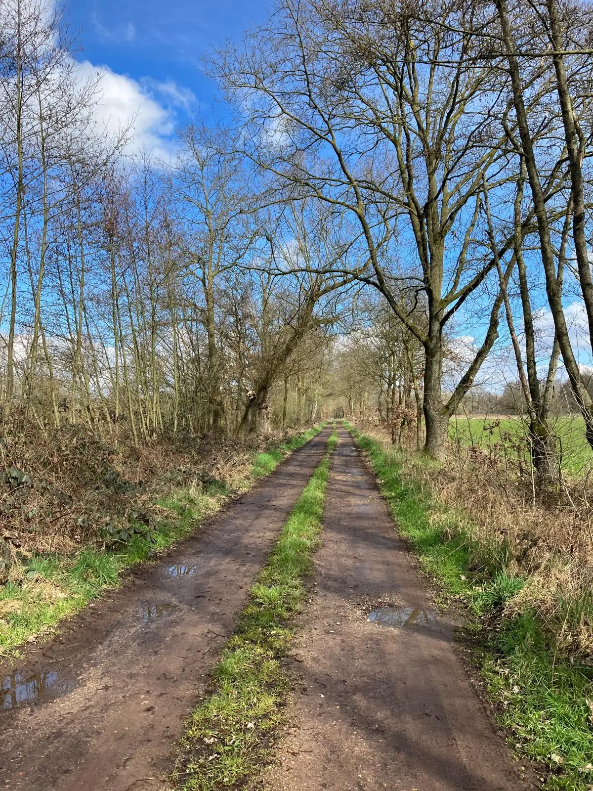 Wandeling afbeelding