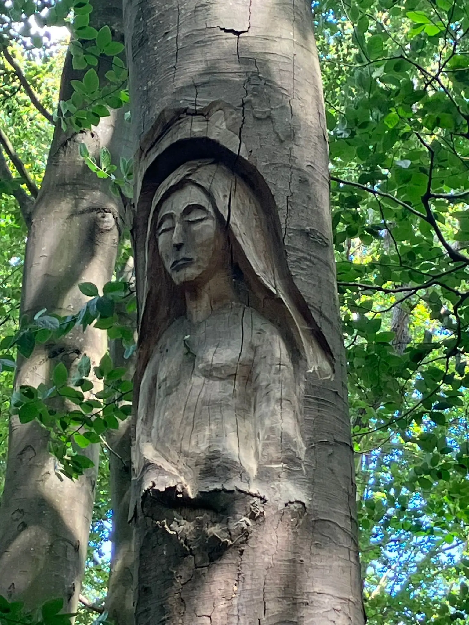 Wandeling afbeelding