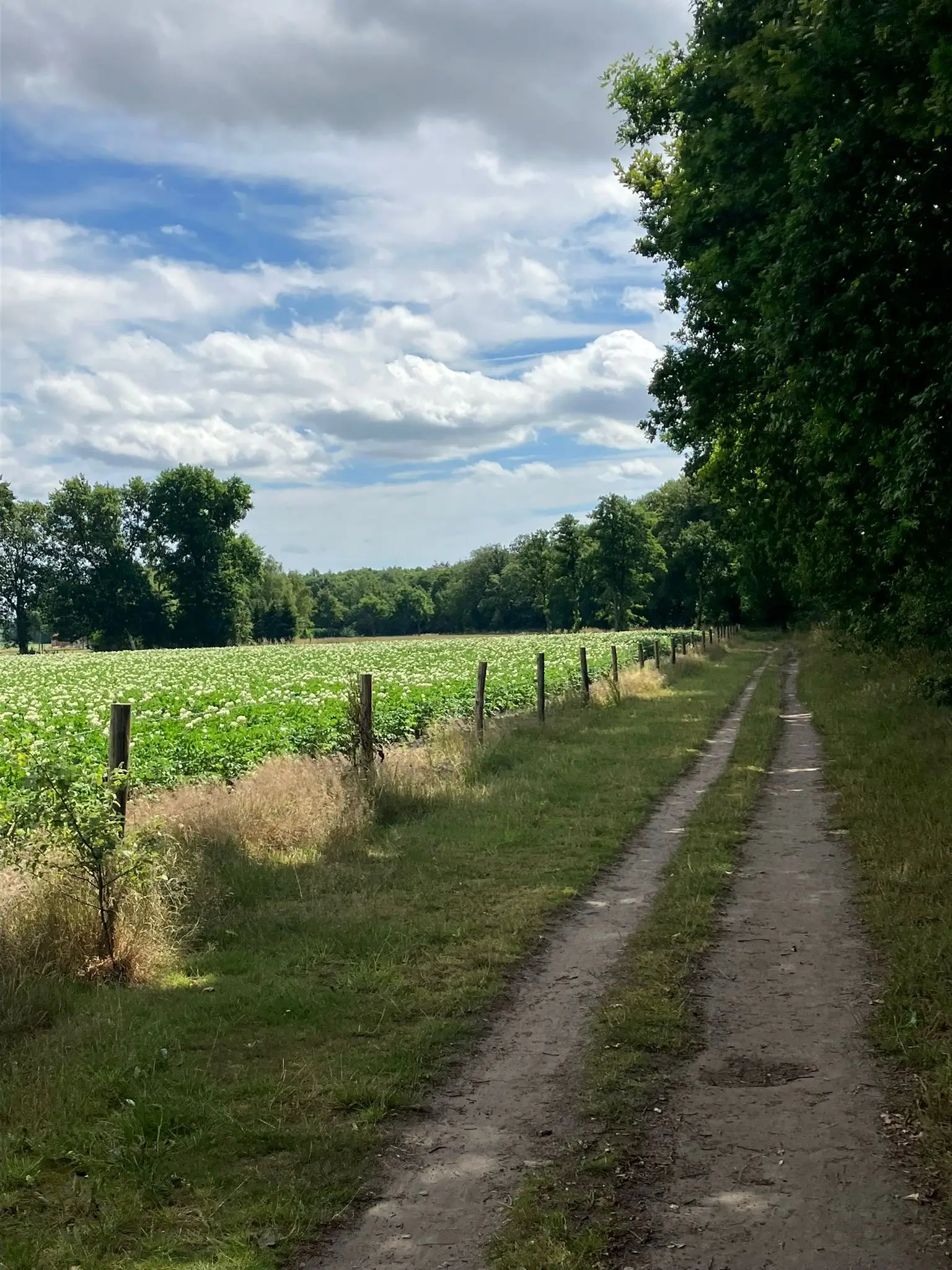Wandeling afbeelding