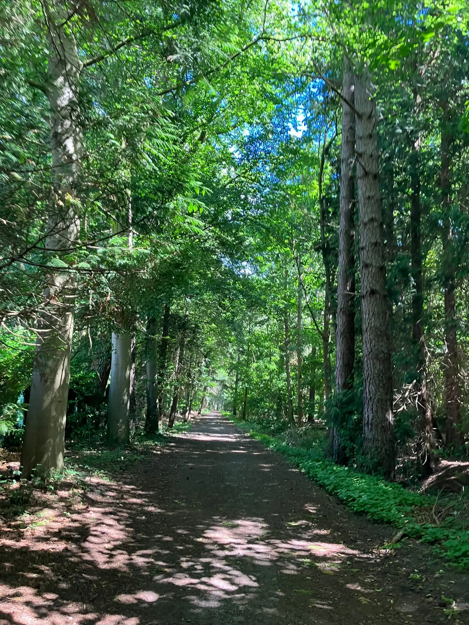 Wandeling afbeelding