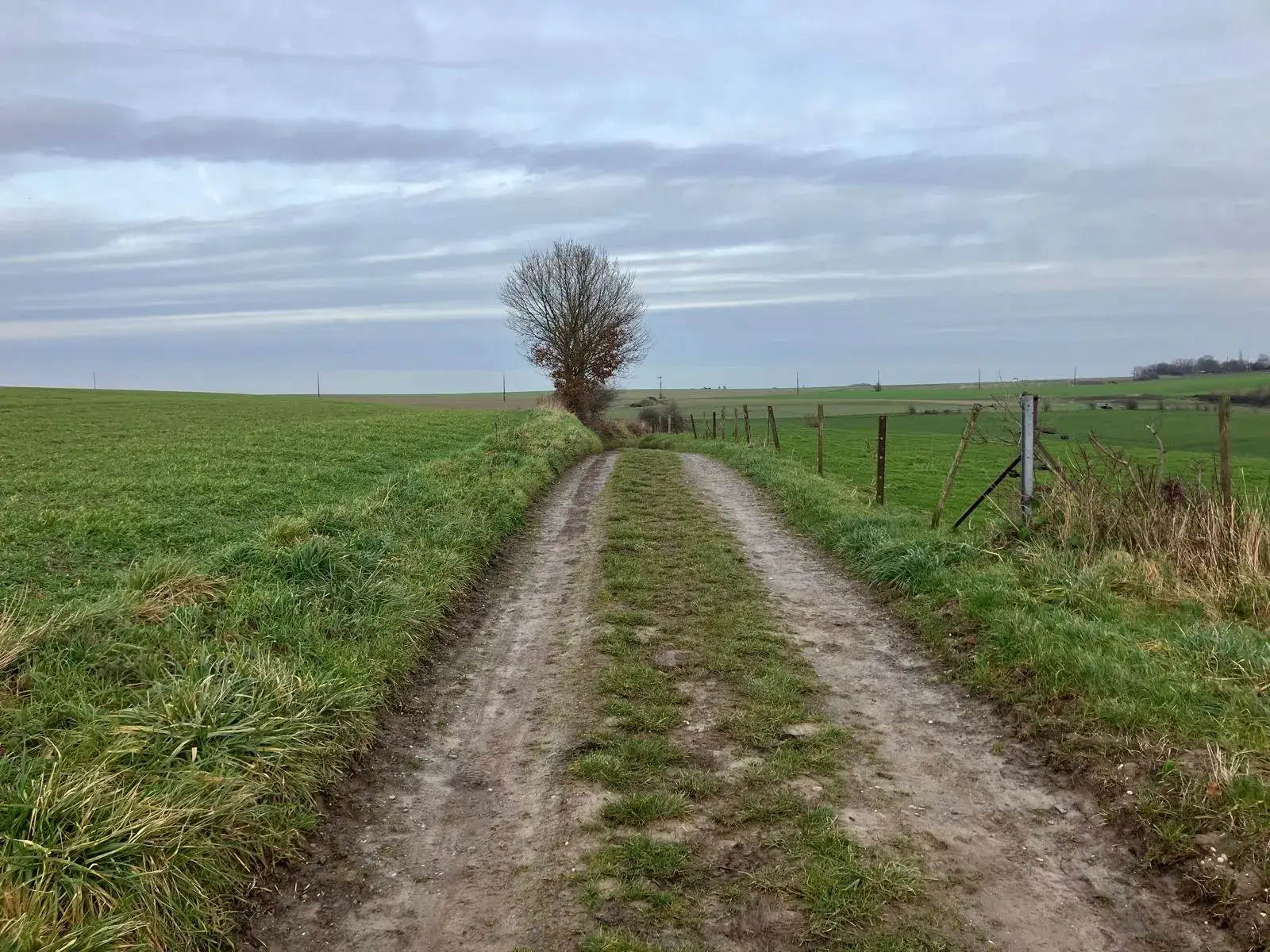 Wandeling afbeelding