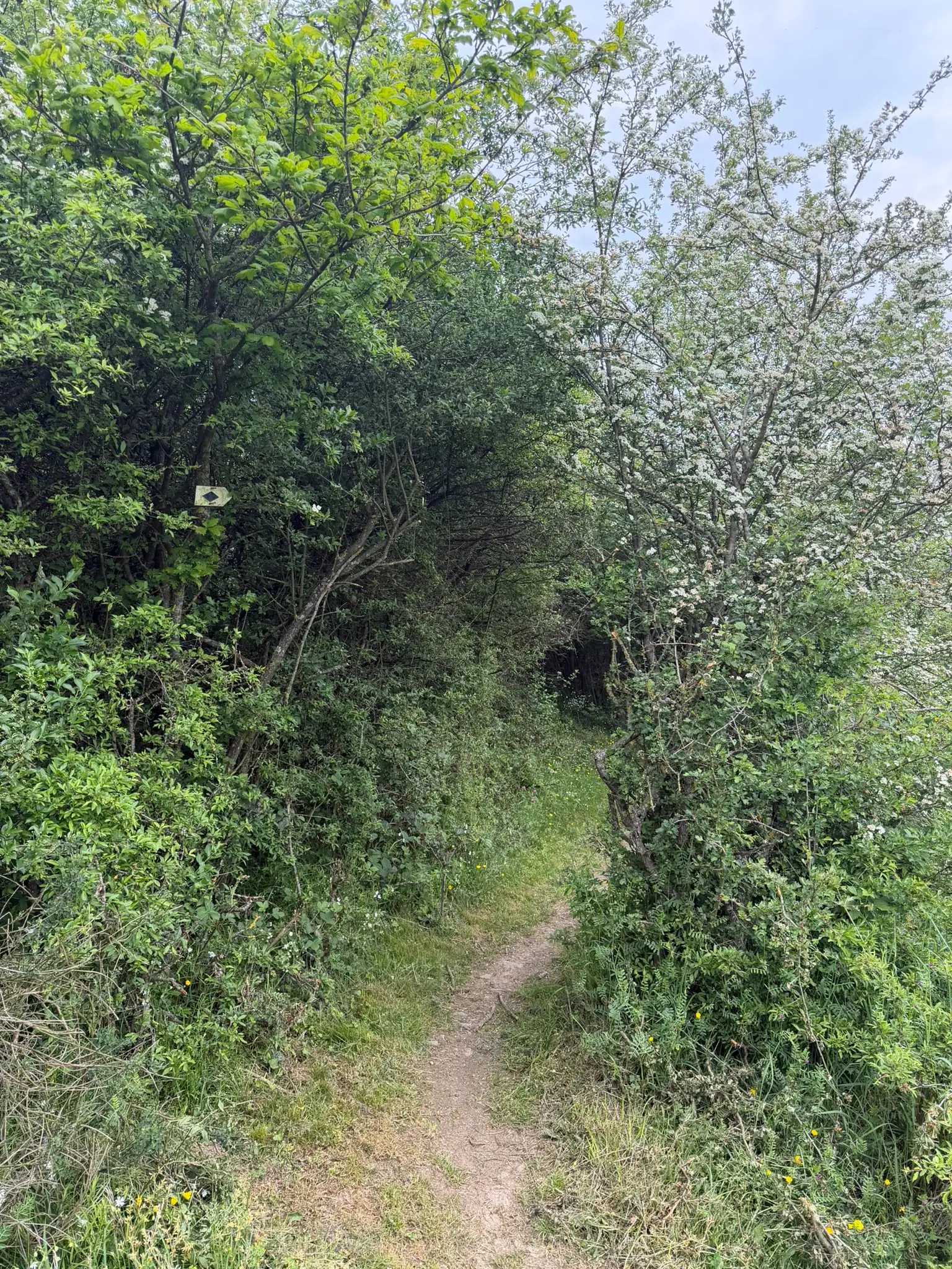 Wandeling afbeelding