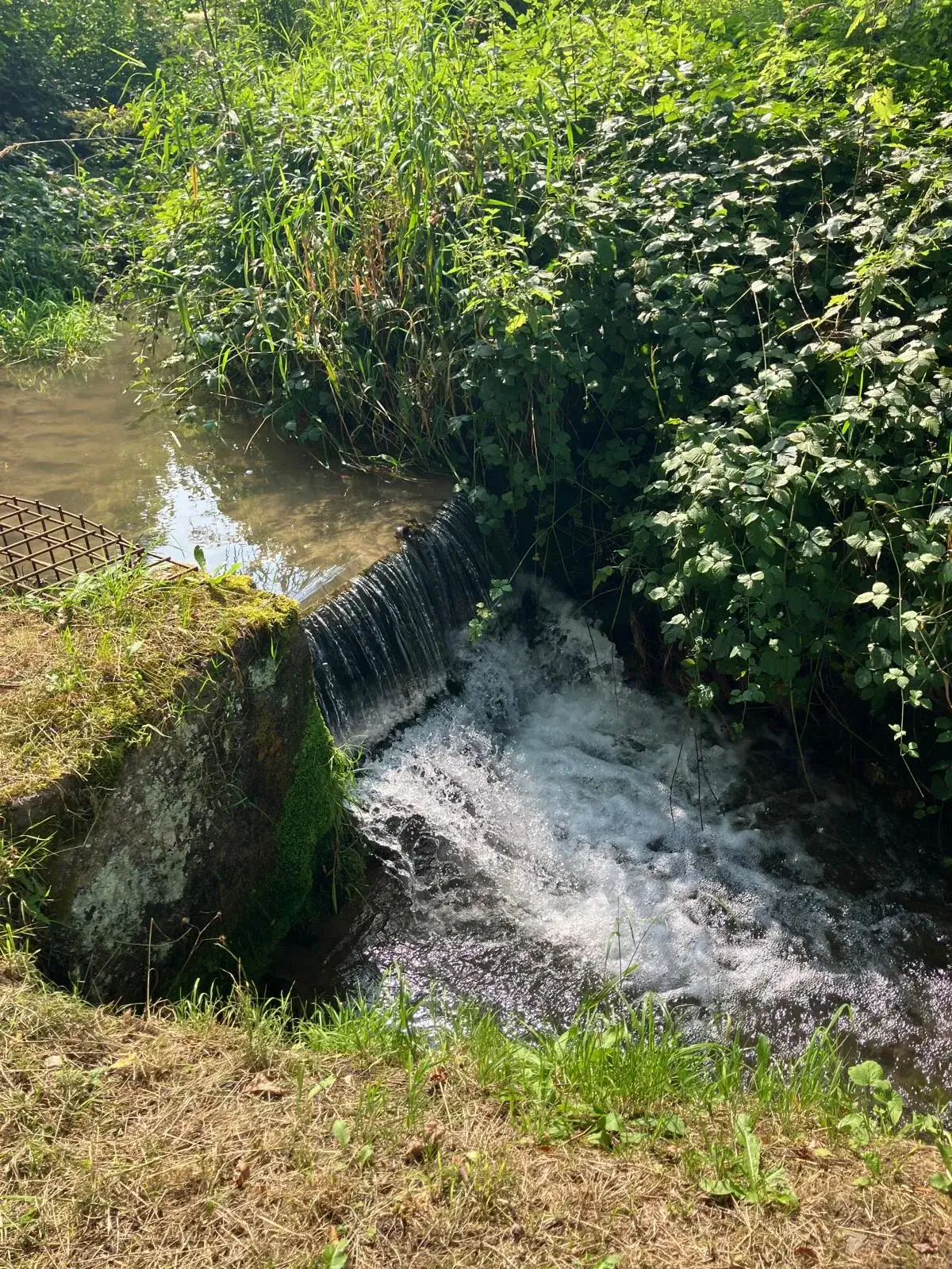 Wandeling afbeelding