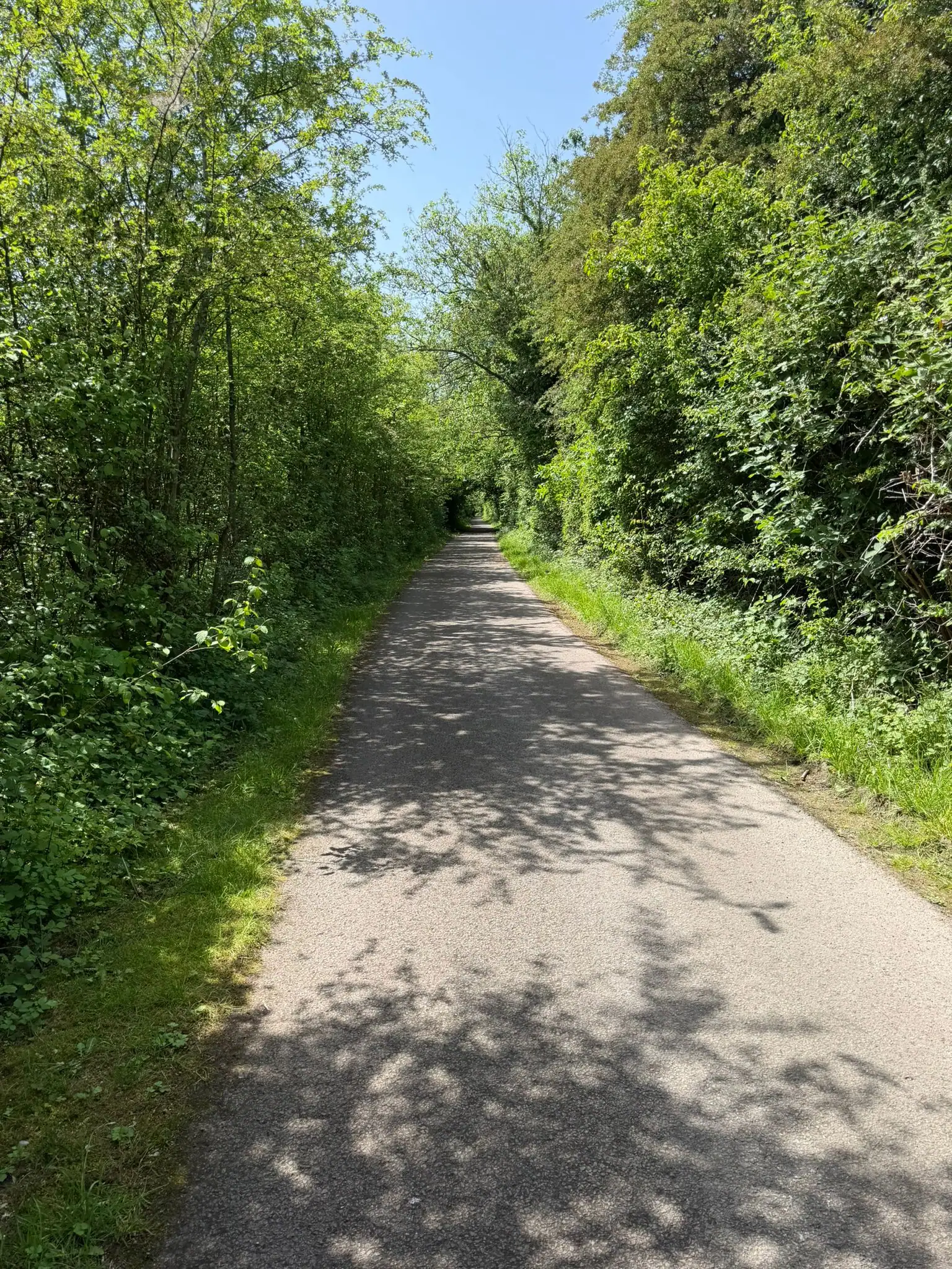 Wandeling afbeelding
