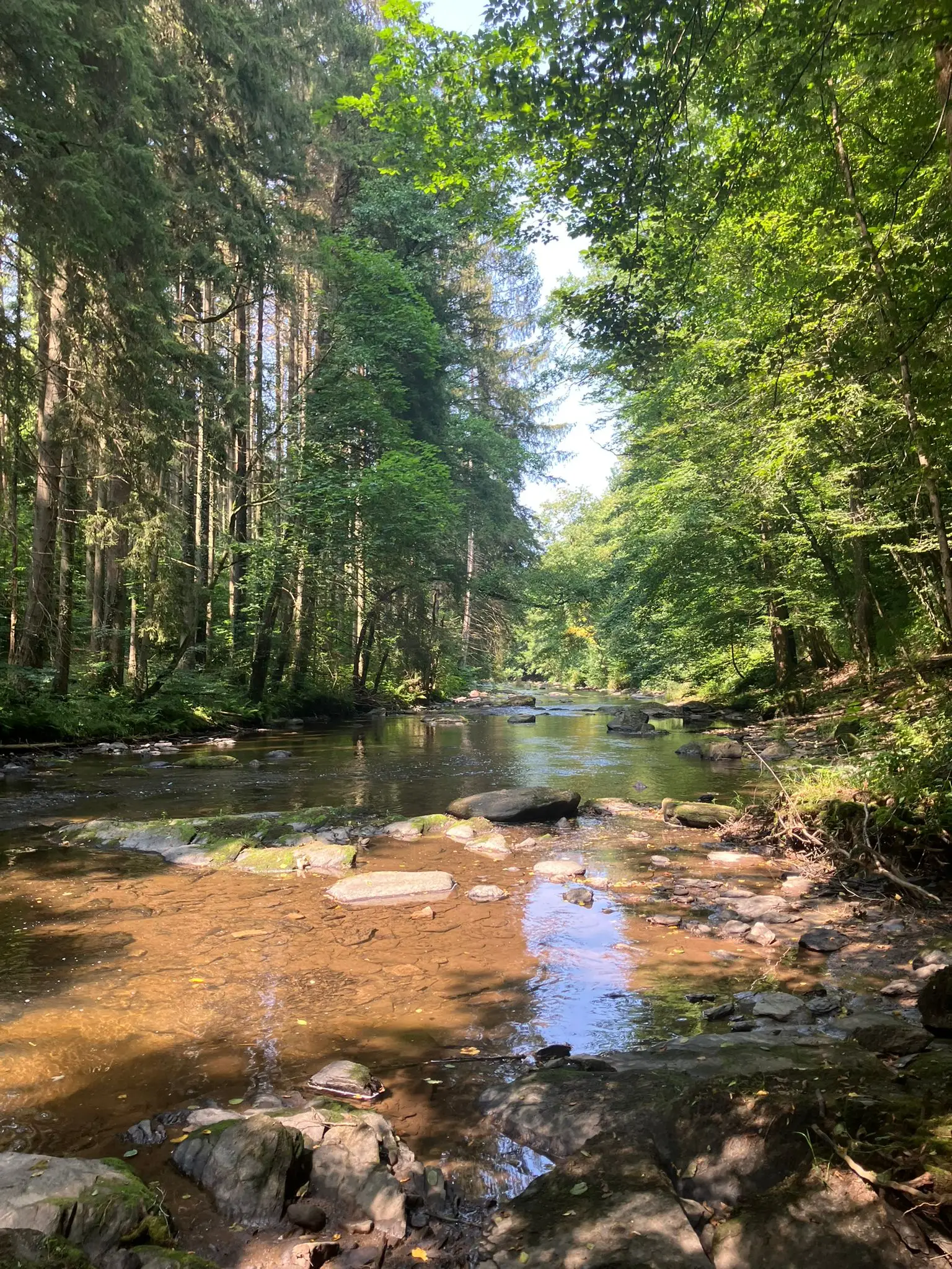 Wandeling afbeelding