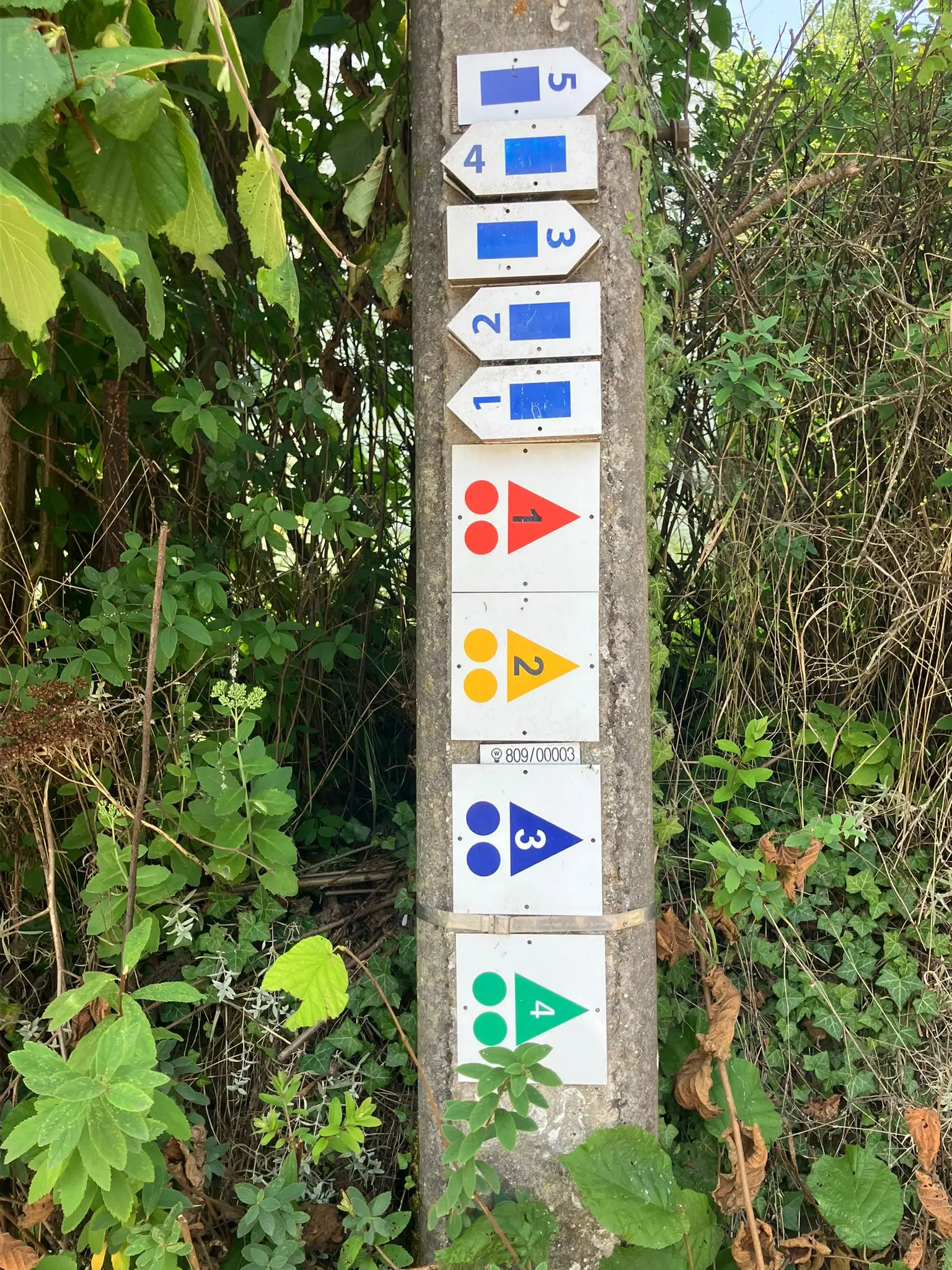 Wandeling afbeelding