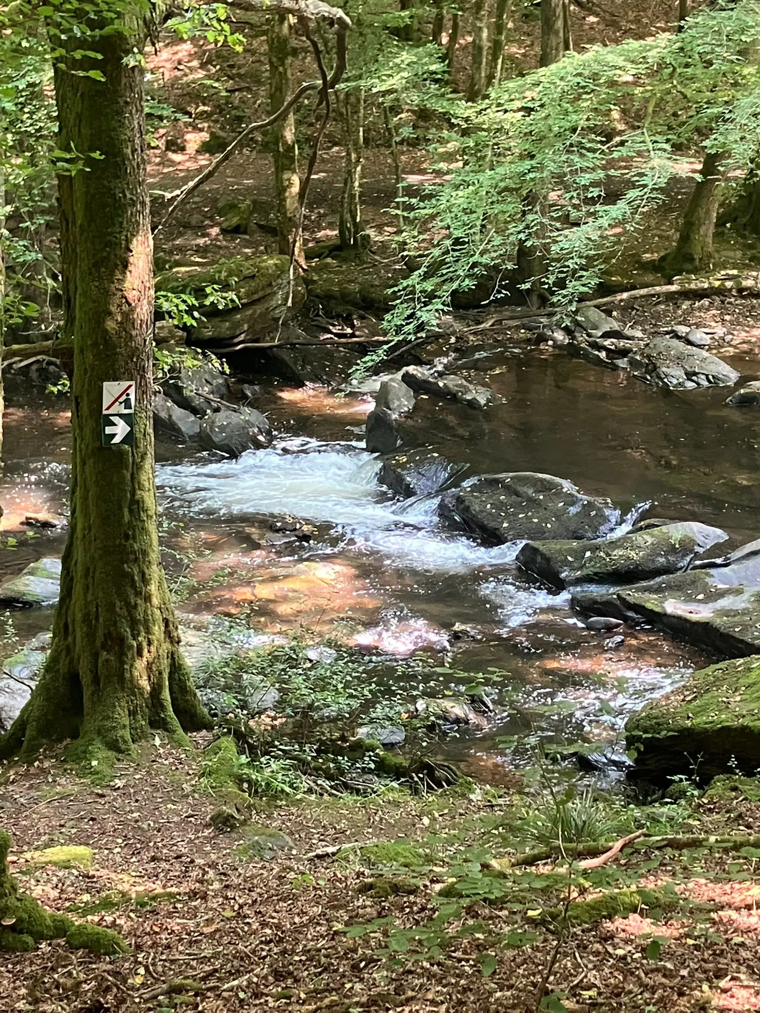 Wandeling afbeelding