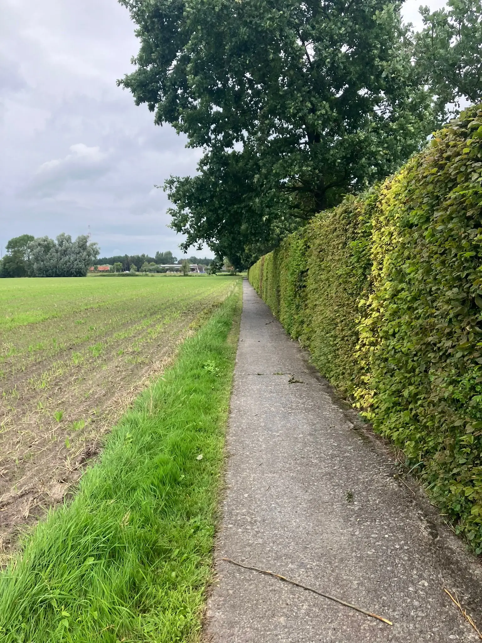 Wandeling afbeelding