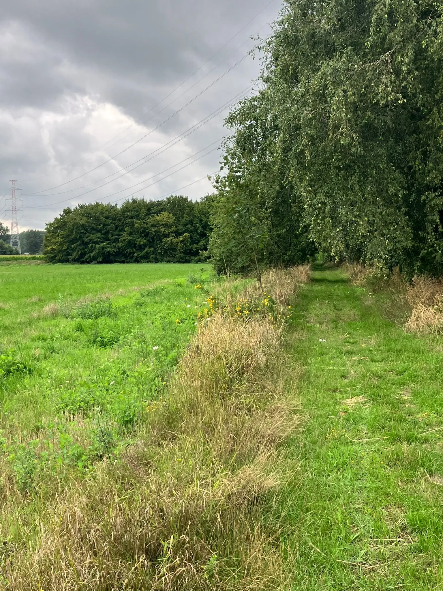 Wandeling afbeelding