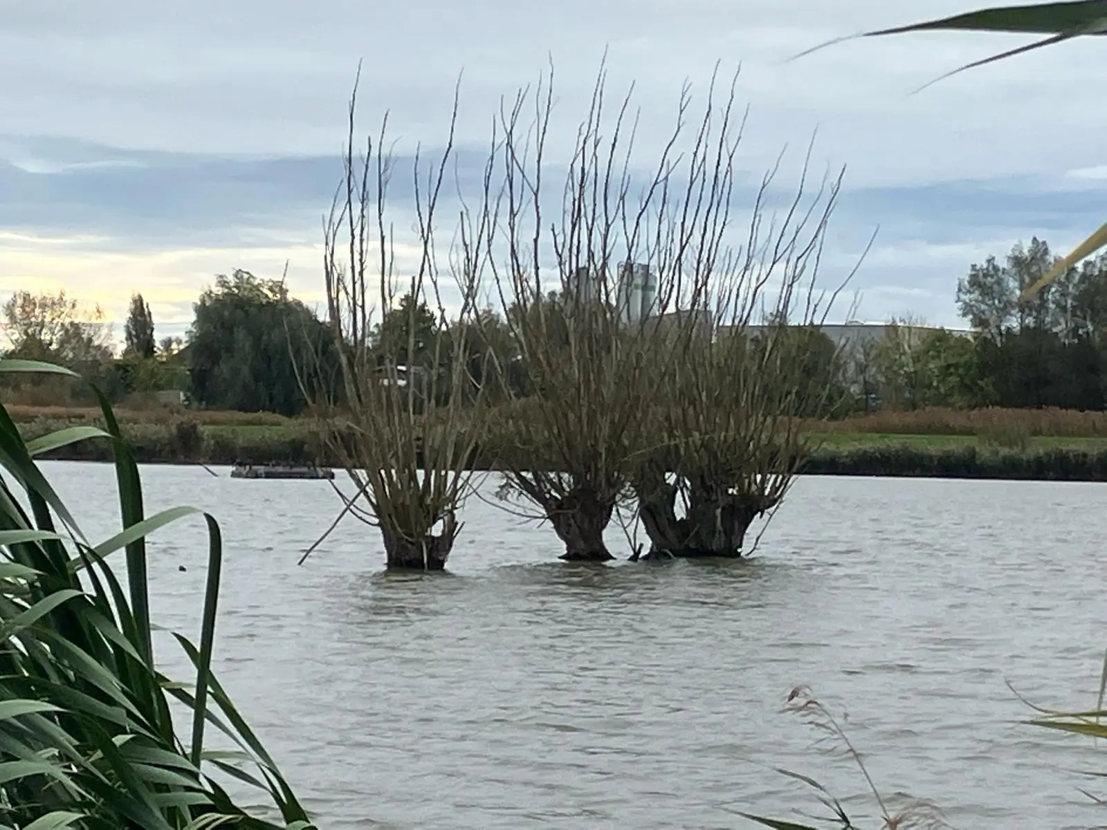 Wandeling afbeelding