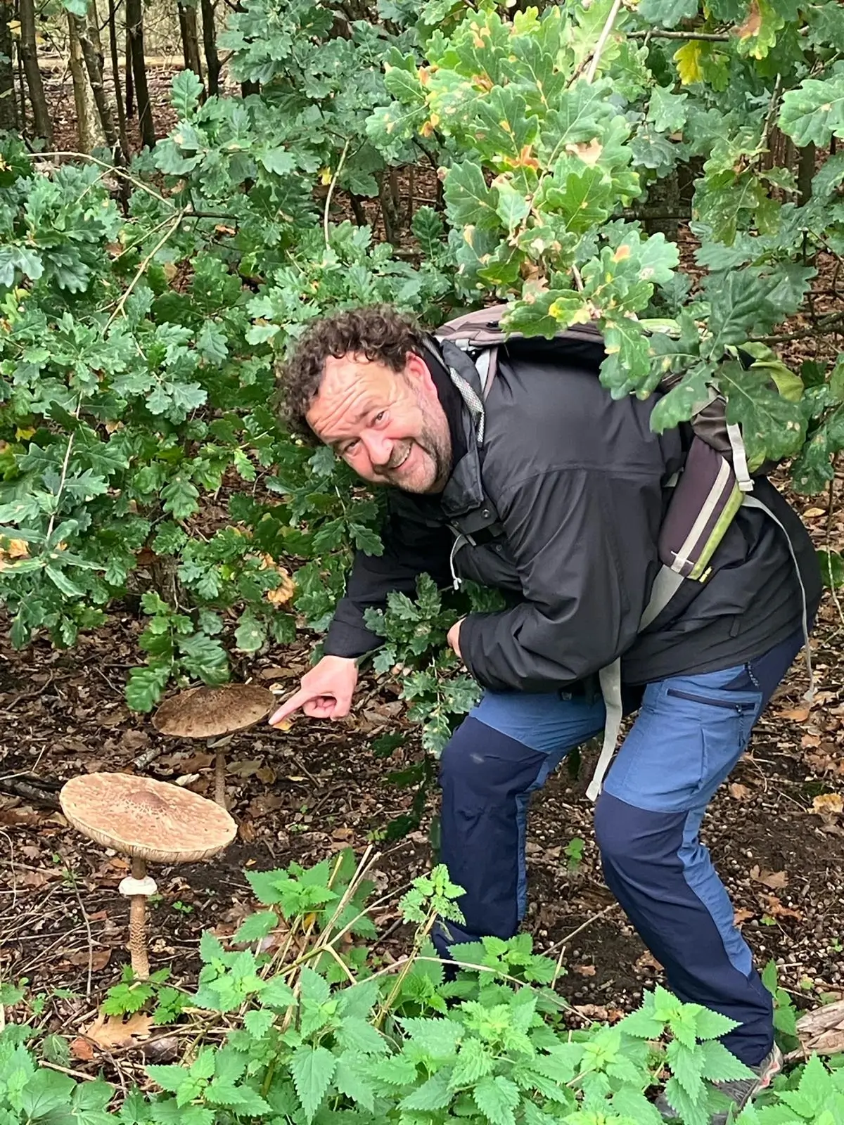 Wandeling afbeelding