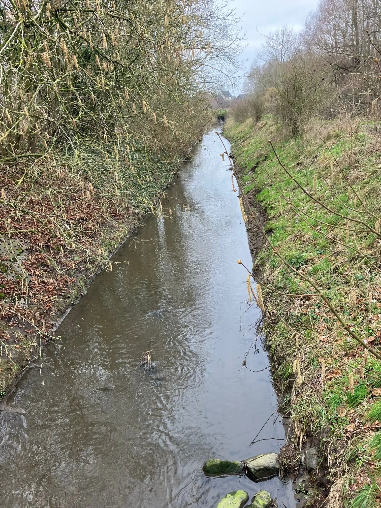 Wandeling afbeelding