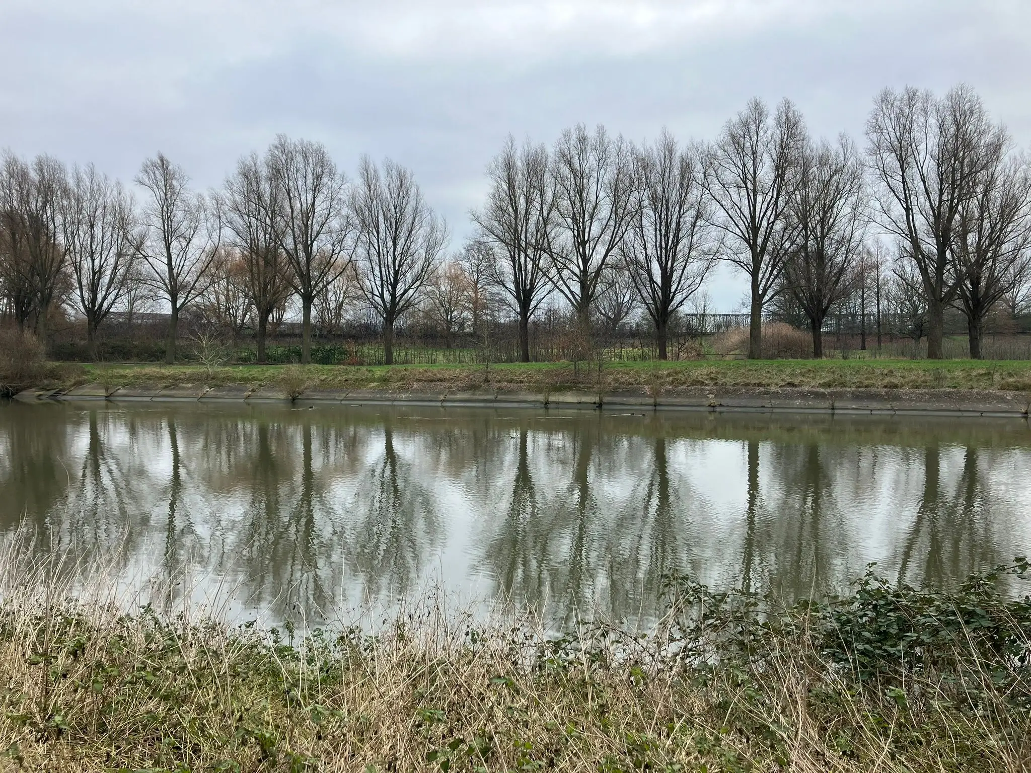 Wandeling afbeelding