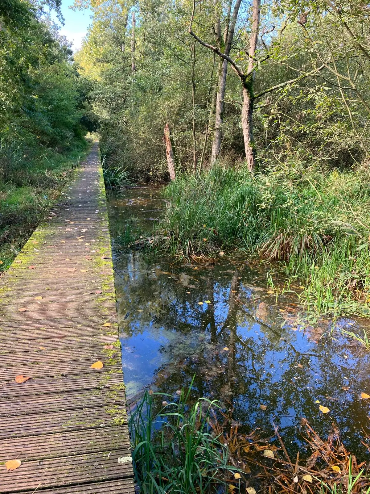 Wandeling afbeelding