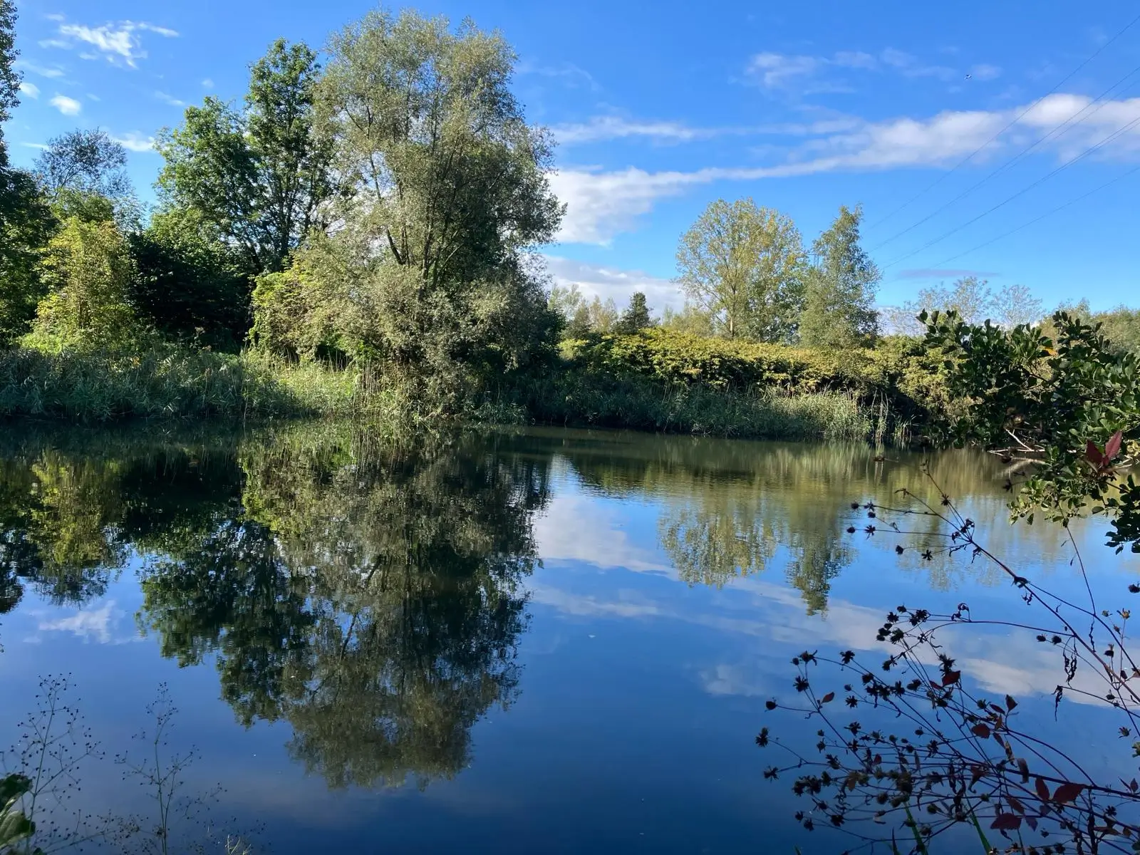 Wandeling afbeelding
