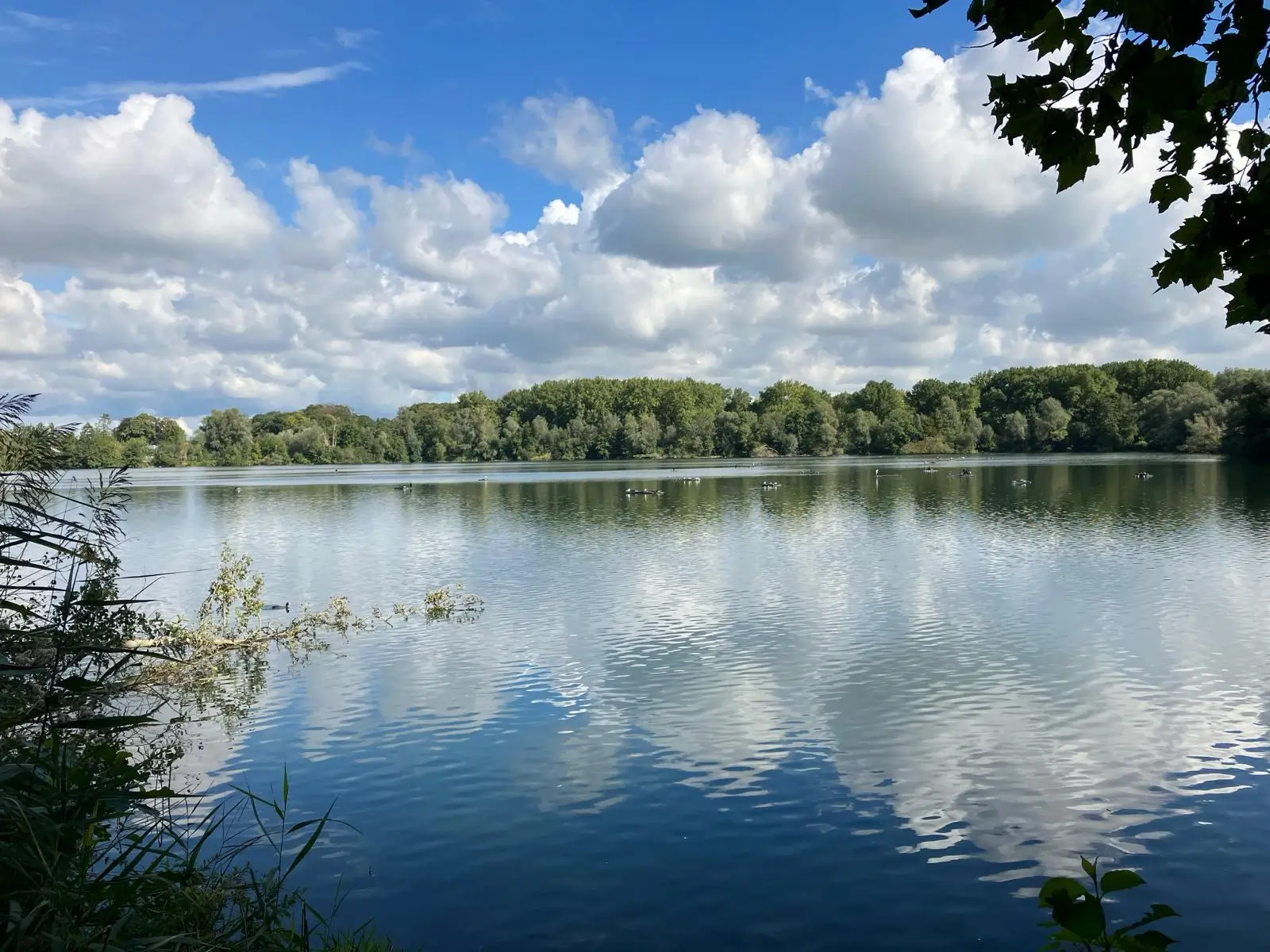 Wandeling afbeelding