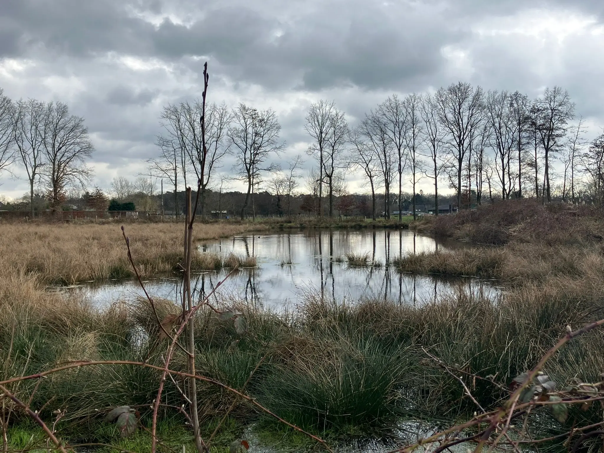 Wandeling afbeelding