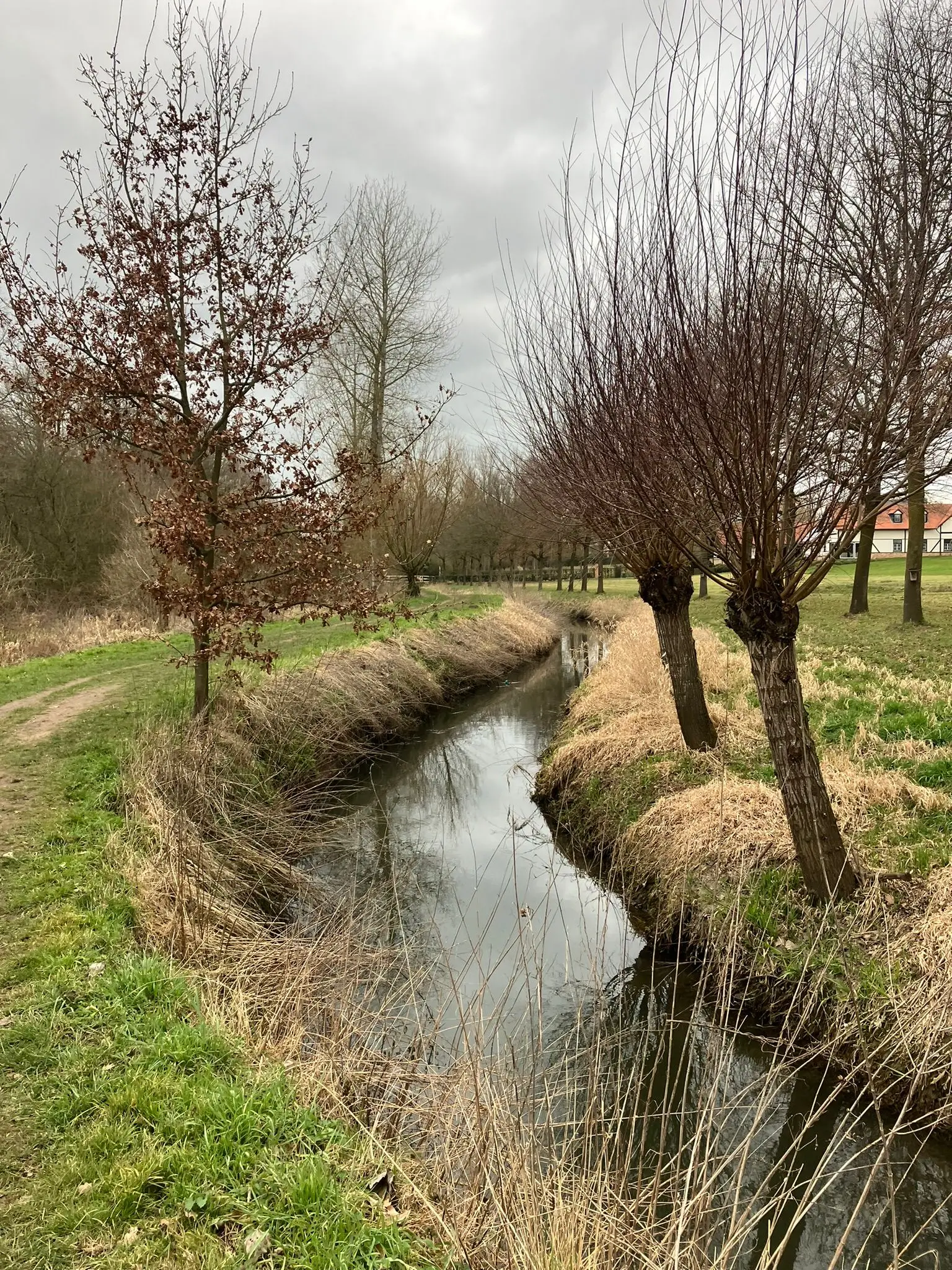 Wandeling afbeelding