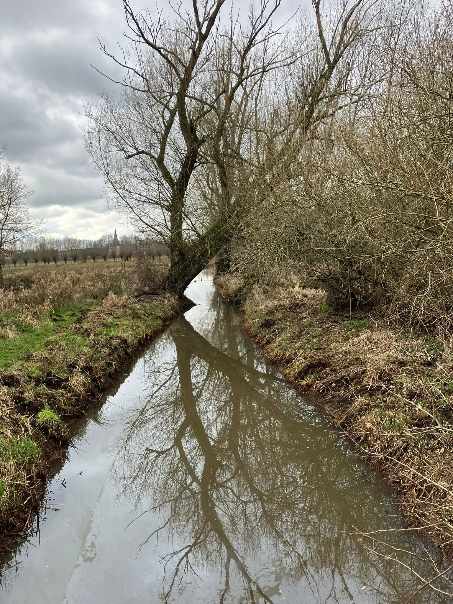 Wandeling afbeelding