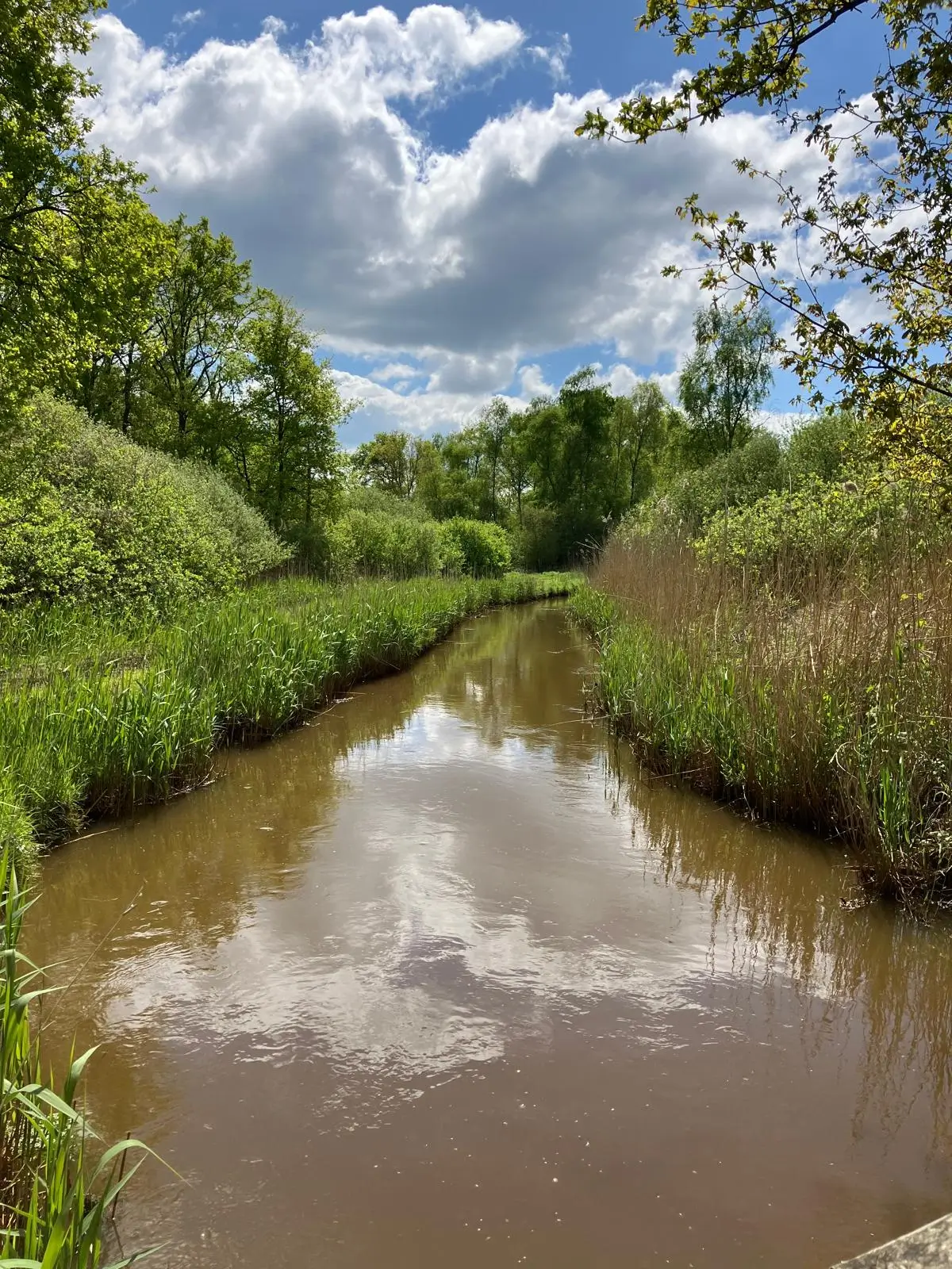Wandeling afbeelding