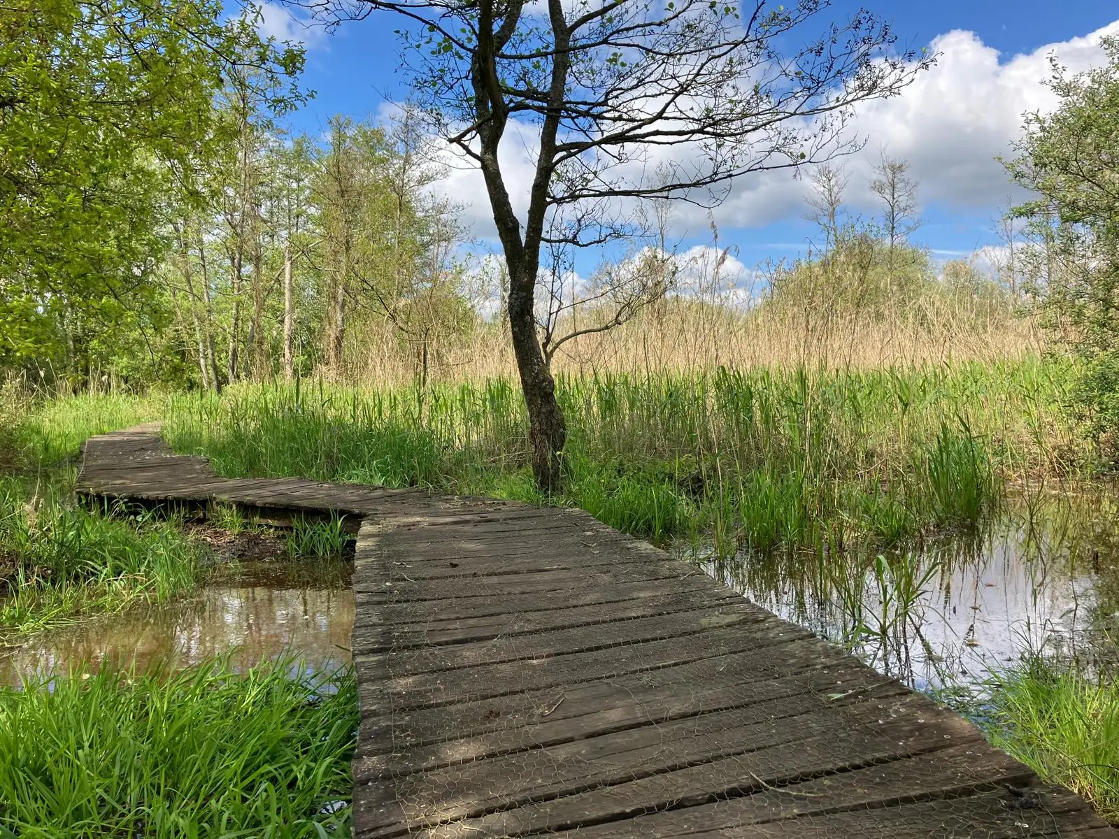 Wandeling afbeelding