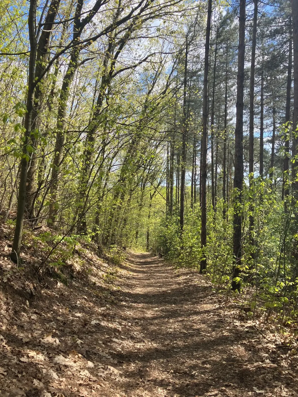 Wandeling afbeelding