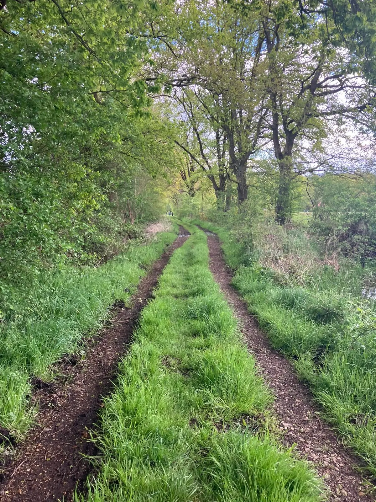 Wandeling afbeelding