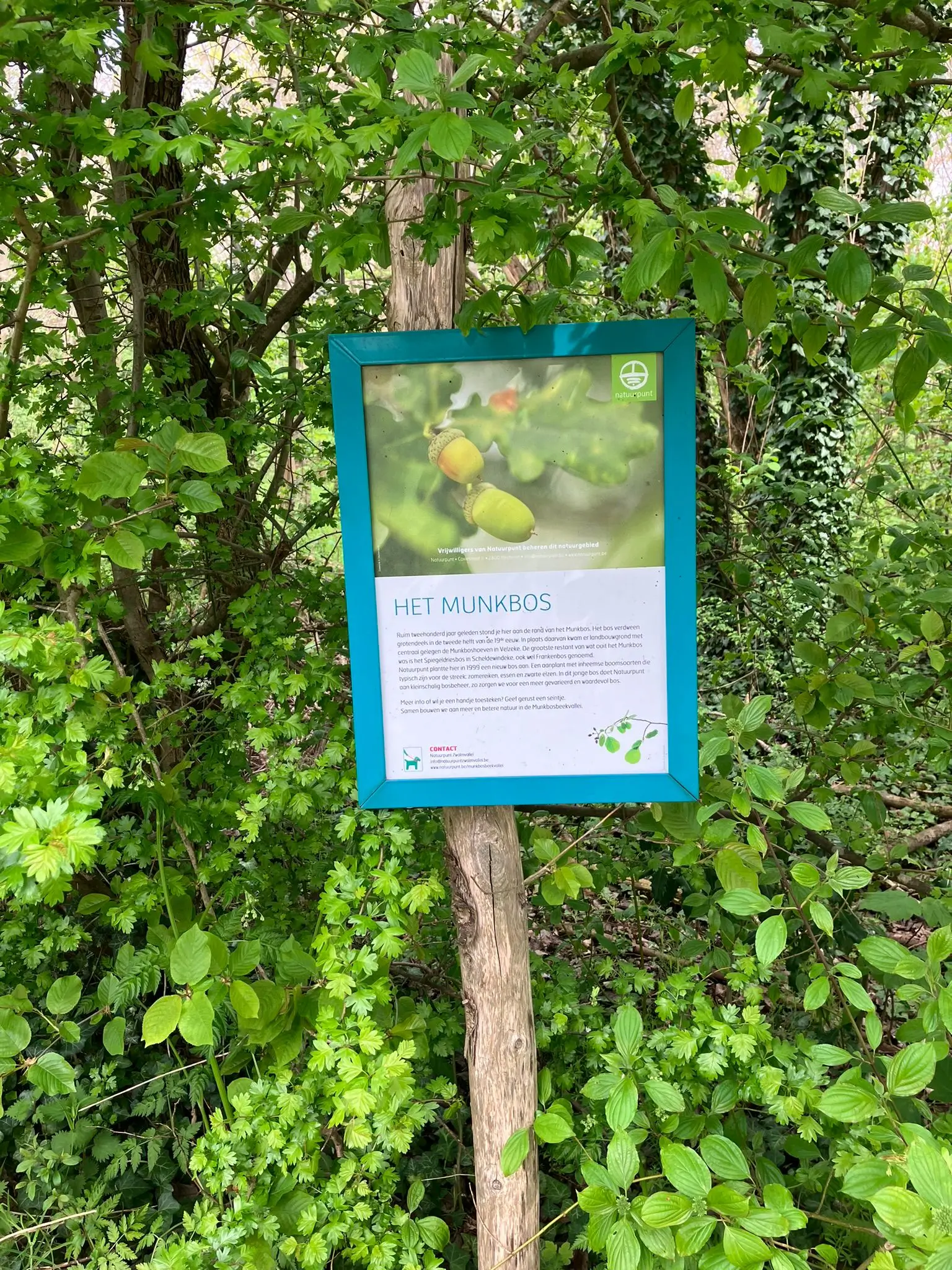 Wandeling afbeelding
