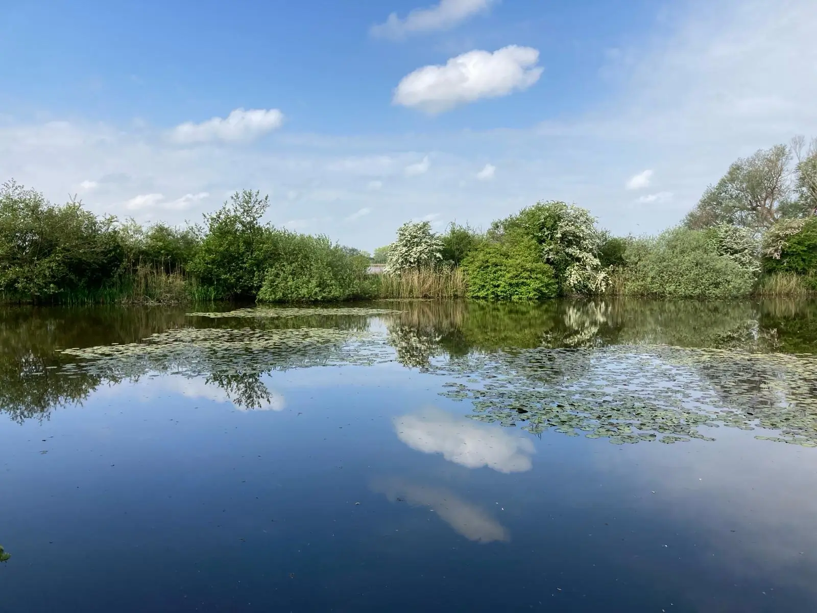 Wandeling afbeelding