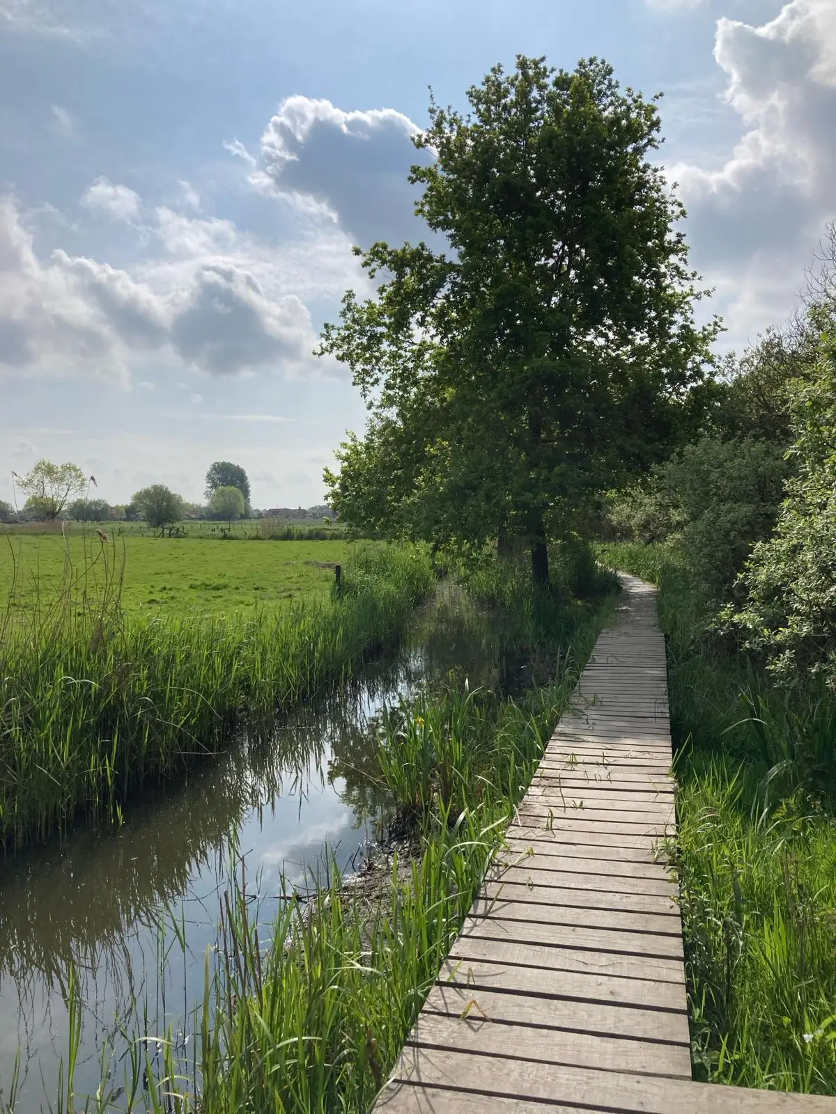 Wandeling afbeelding